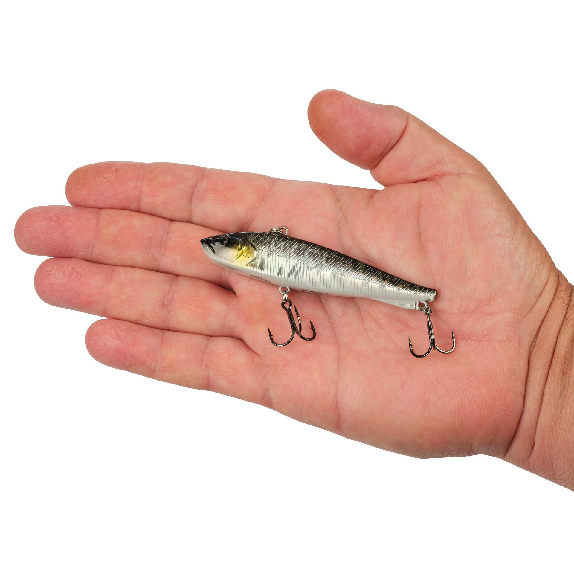 Ripfish
