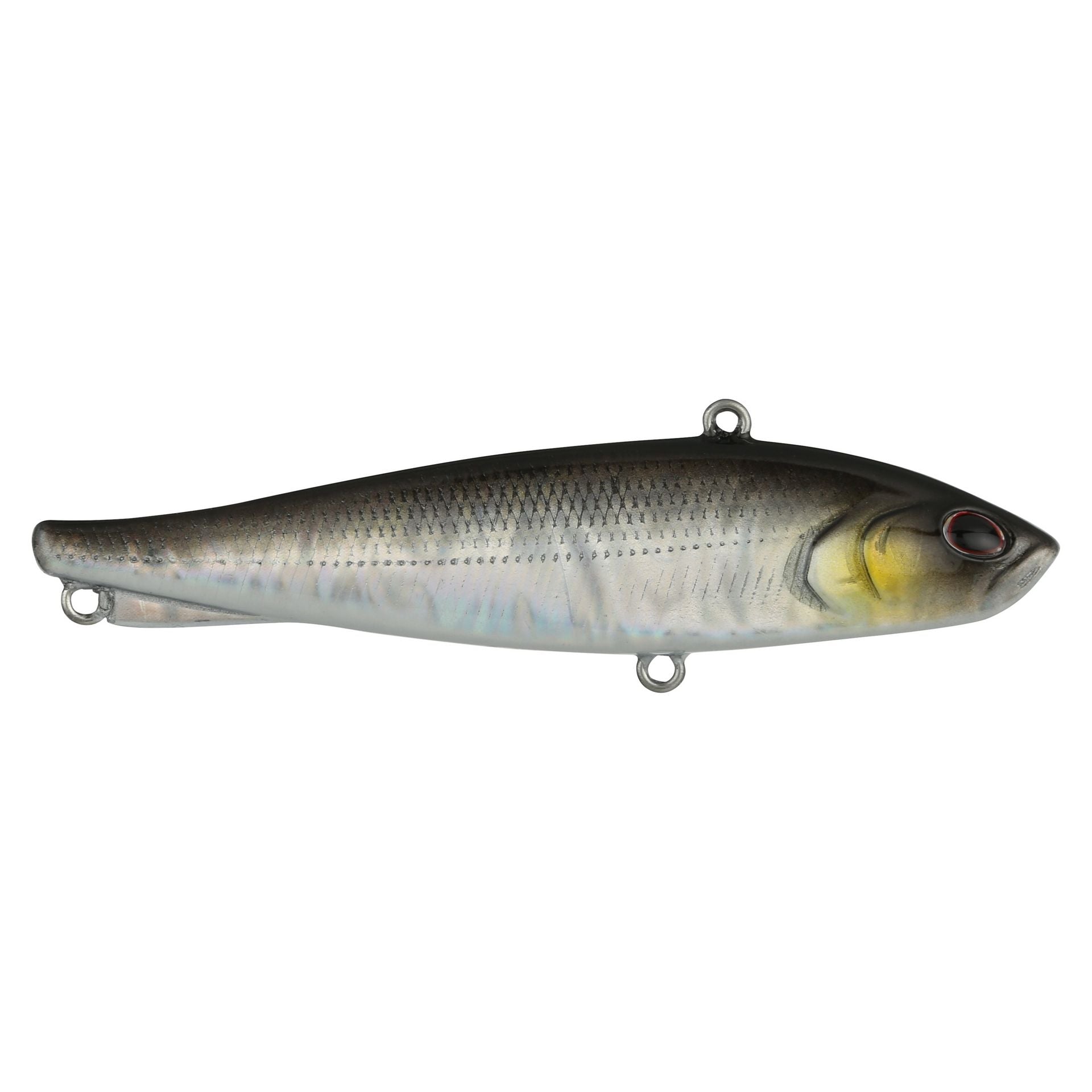 Ripfish