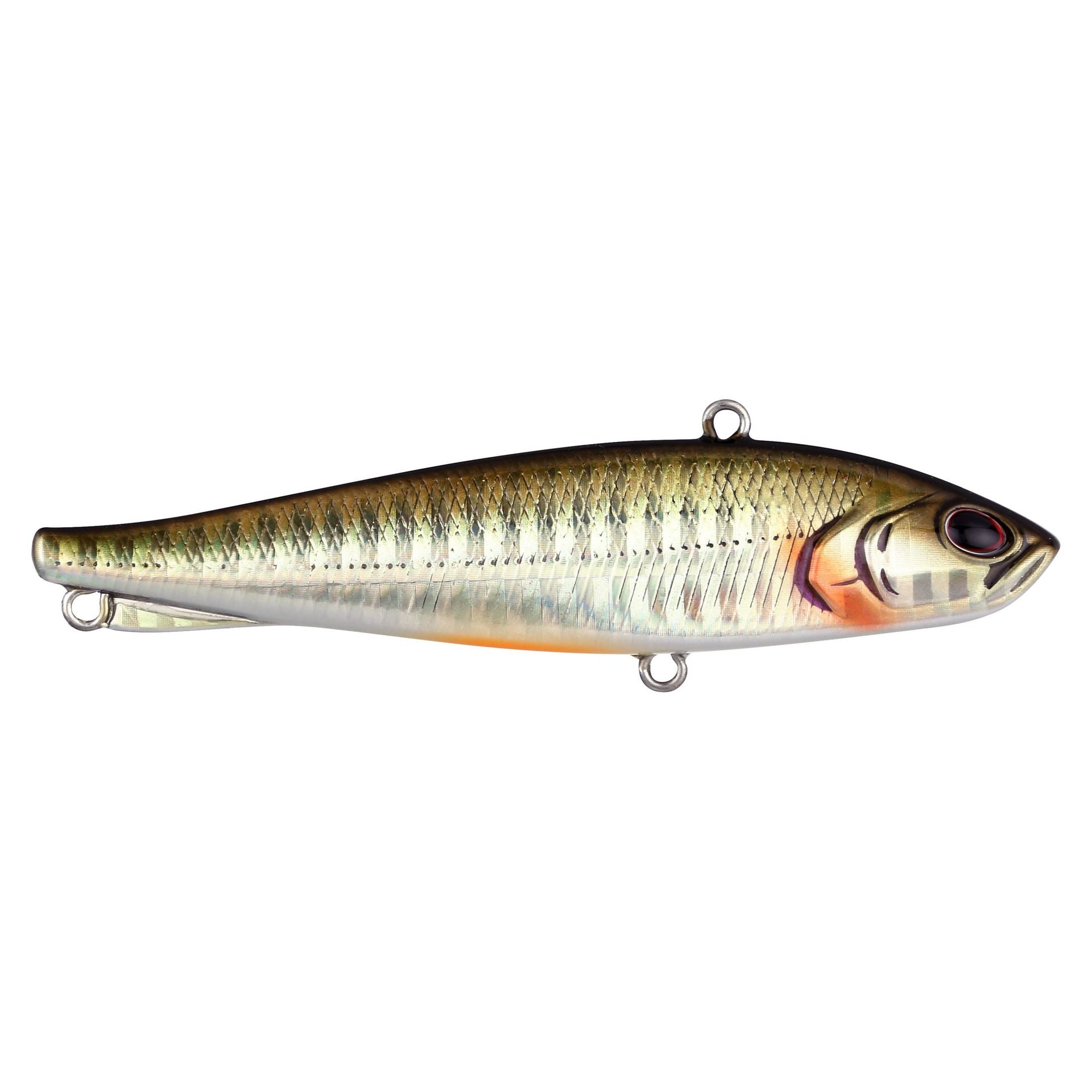 Ripfish