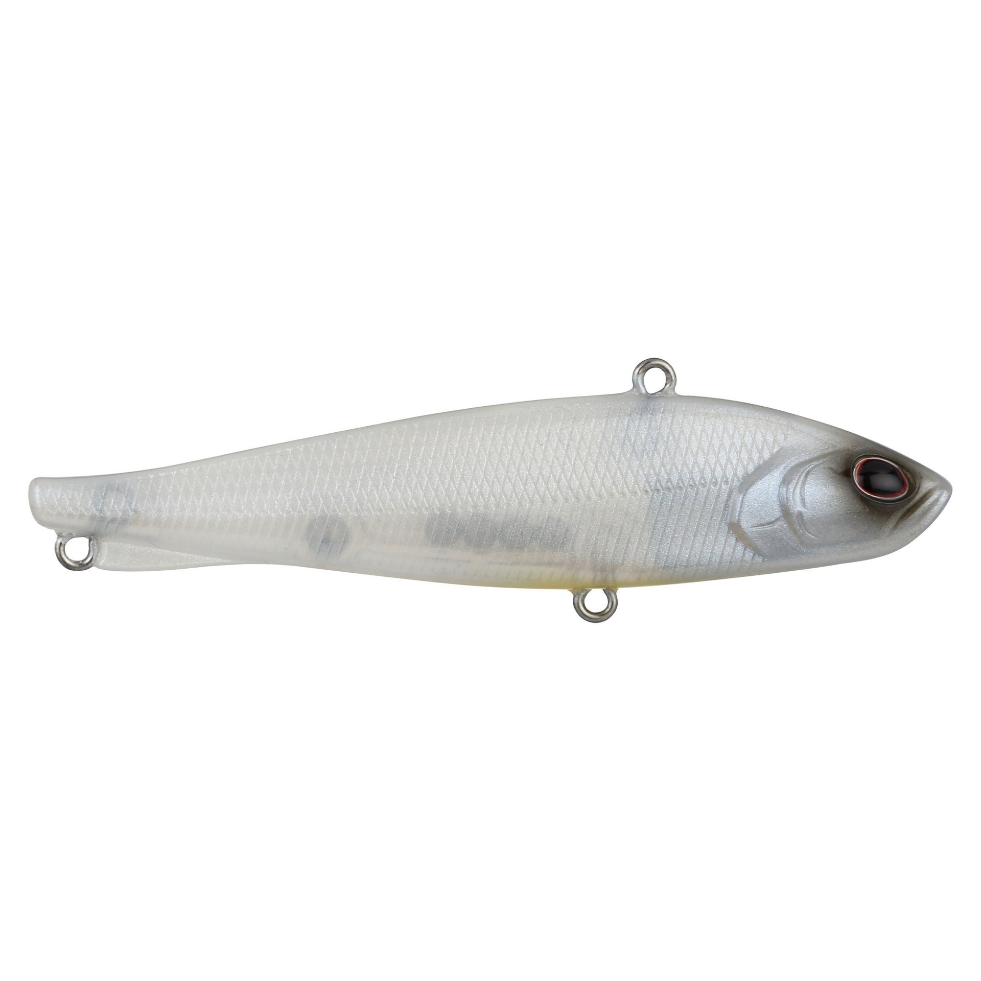 Ripfish