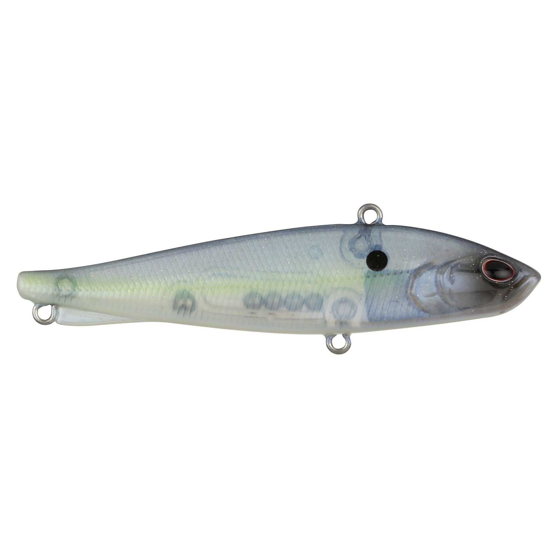 Ripfish
