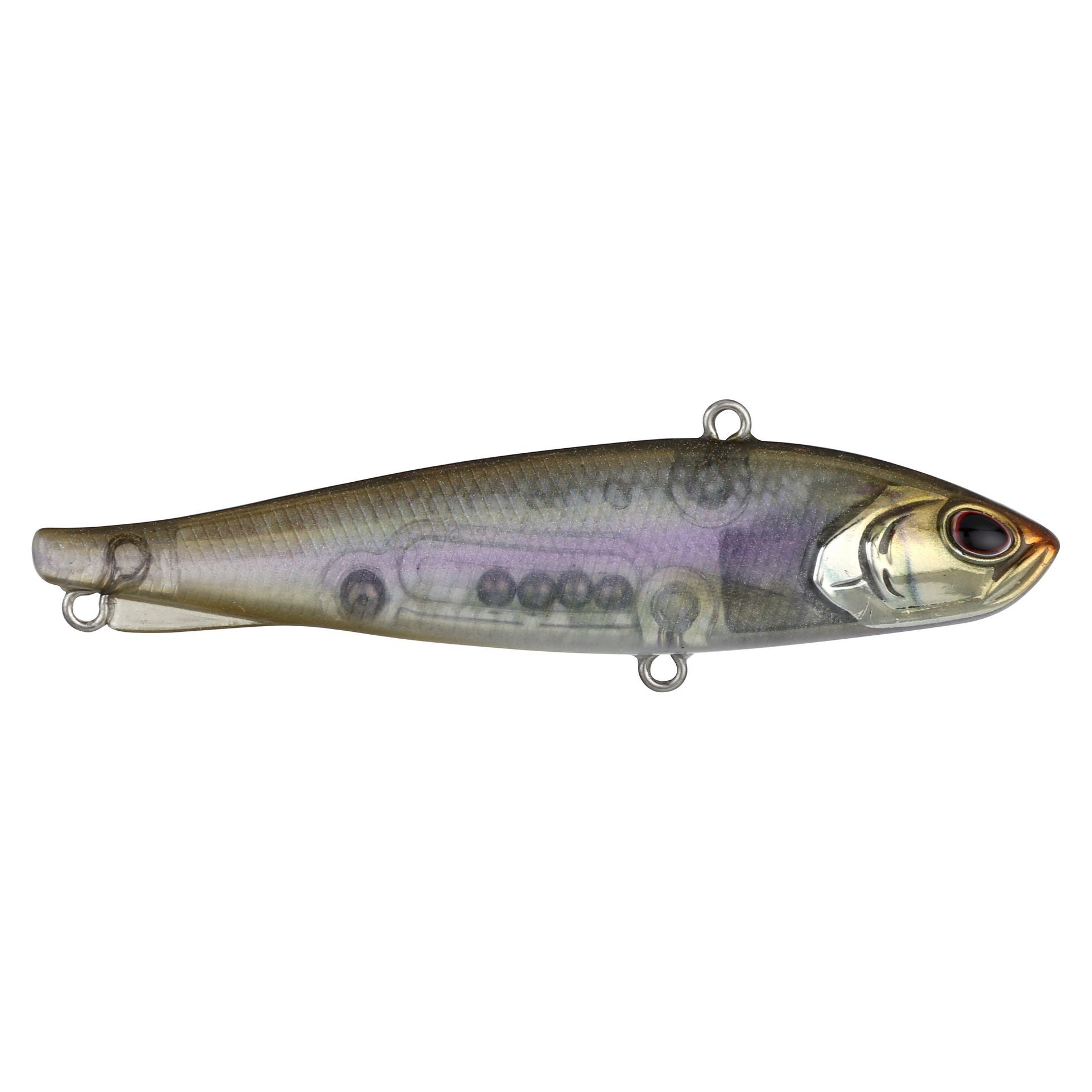 Ripfish