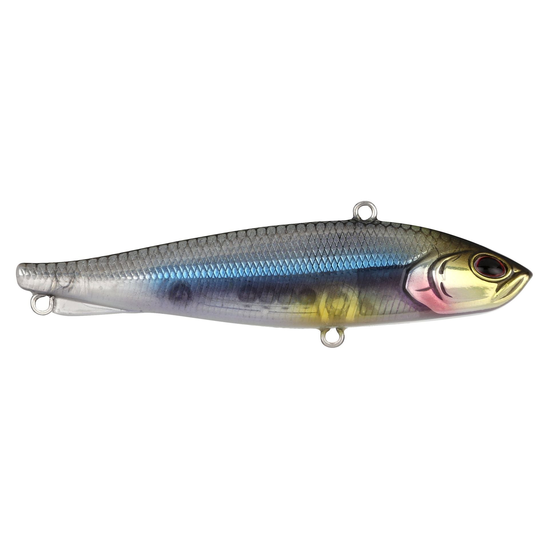 Ripfish