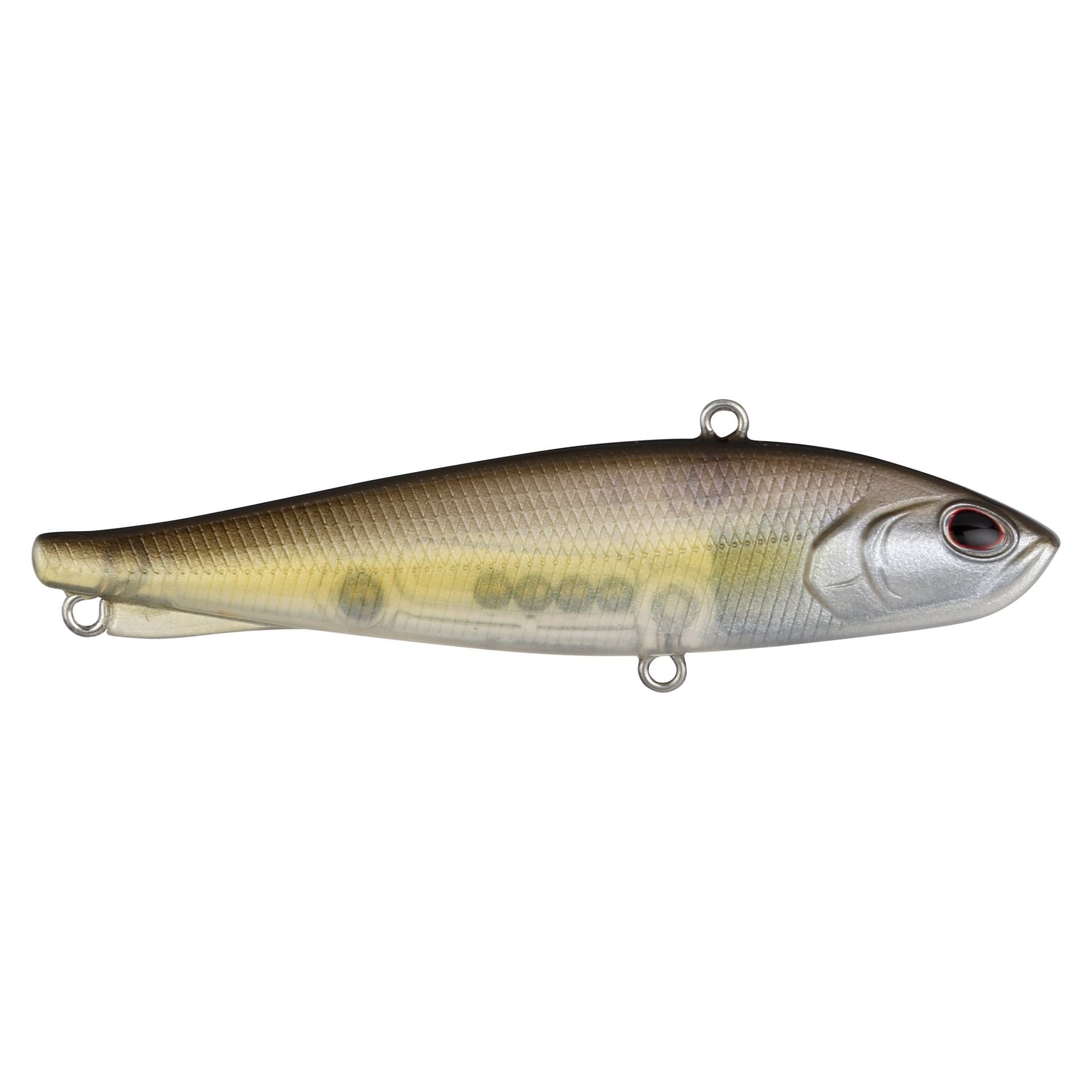 Ripfish
