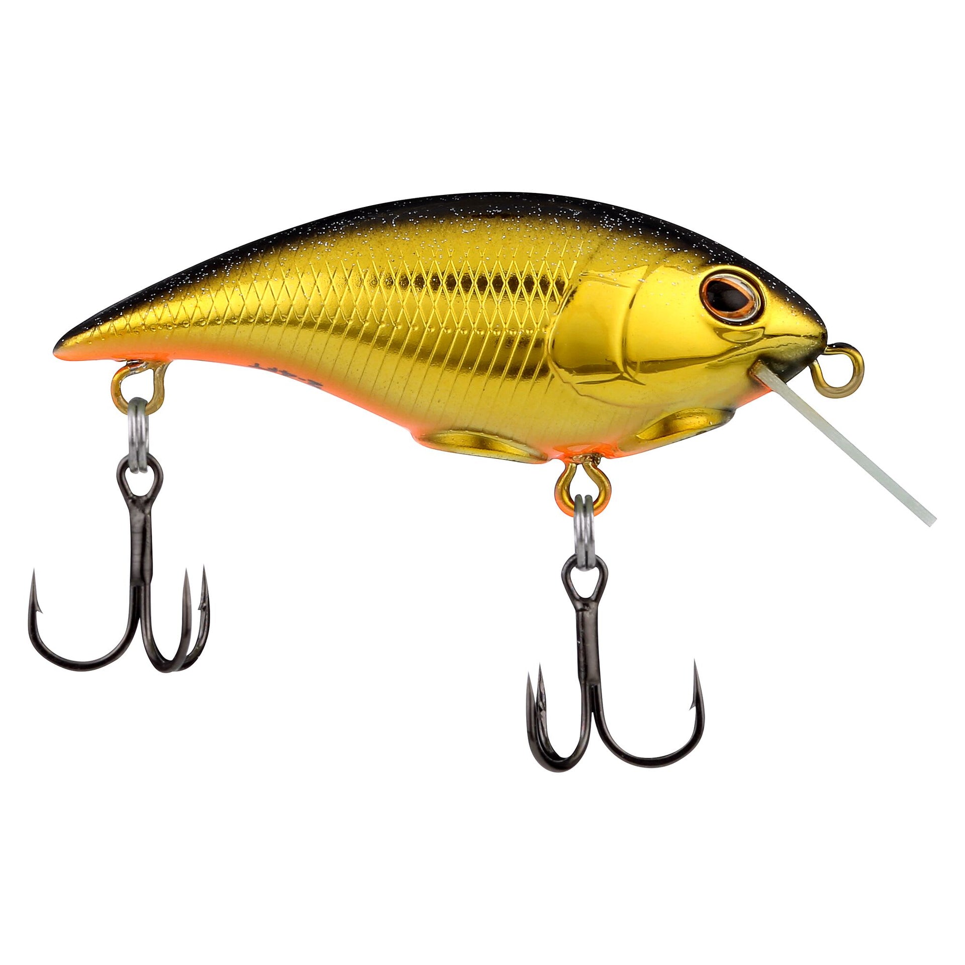 berkley fishing cast for cash 2021 Shallow Money Badger