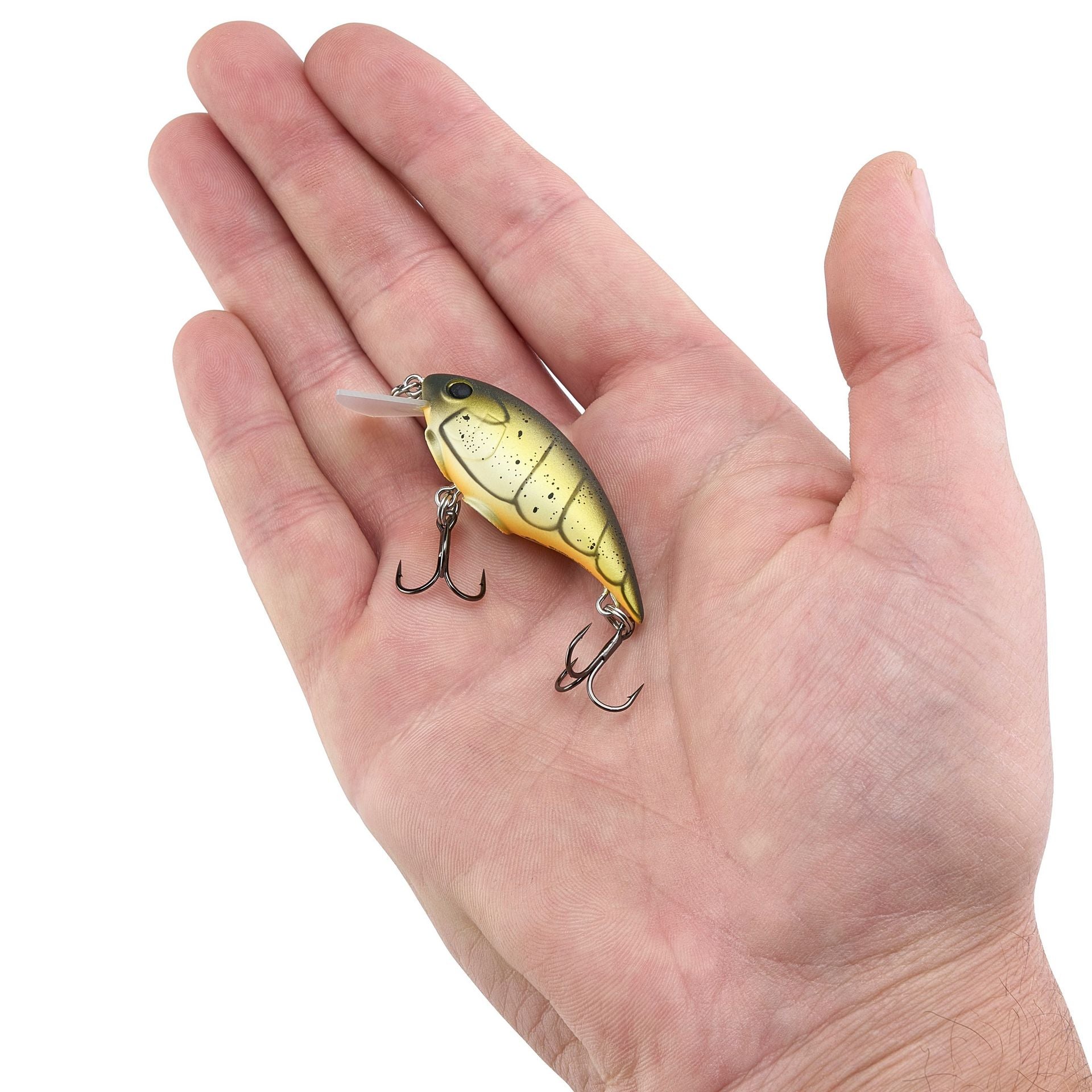 Shallow Money Badger