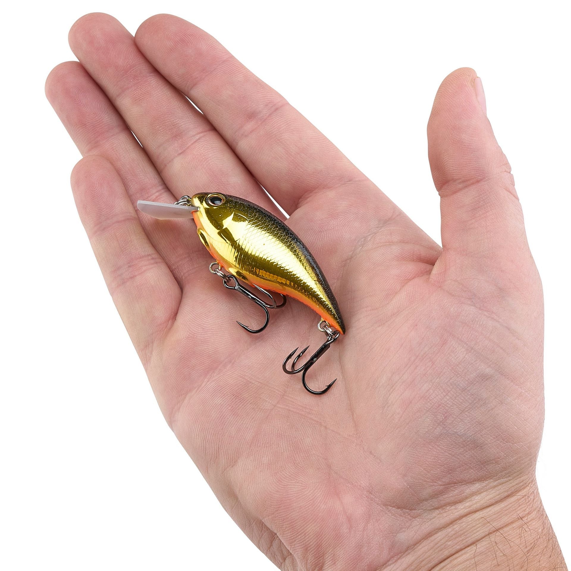 Shallow Money Badger