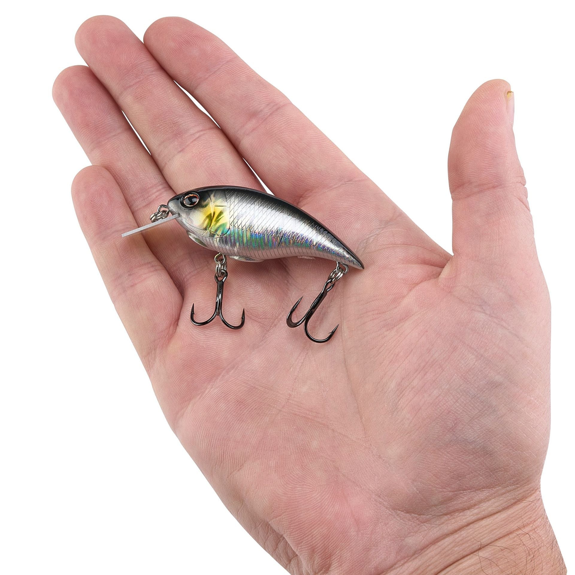 Shallow Money Badger