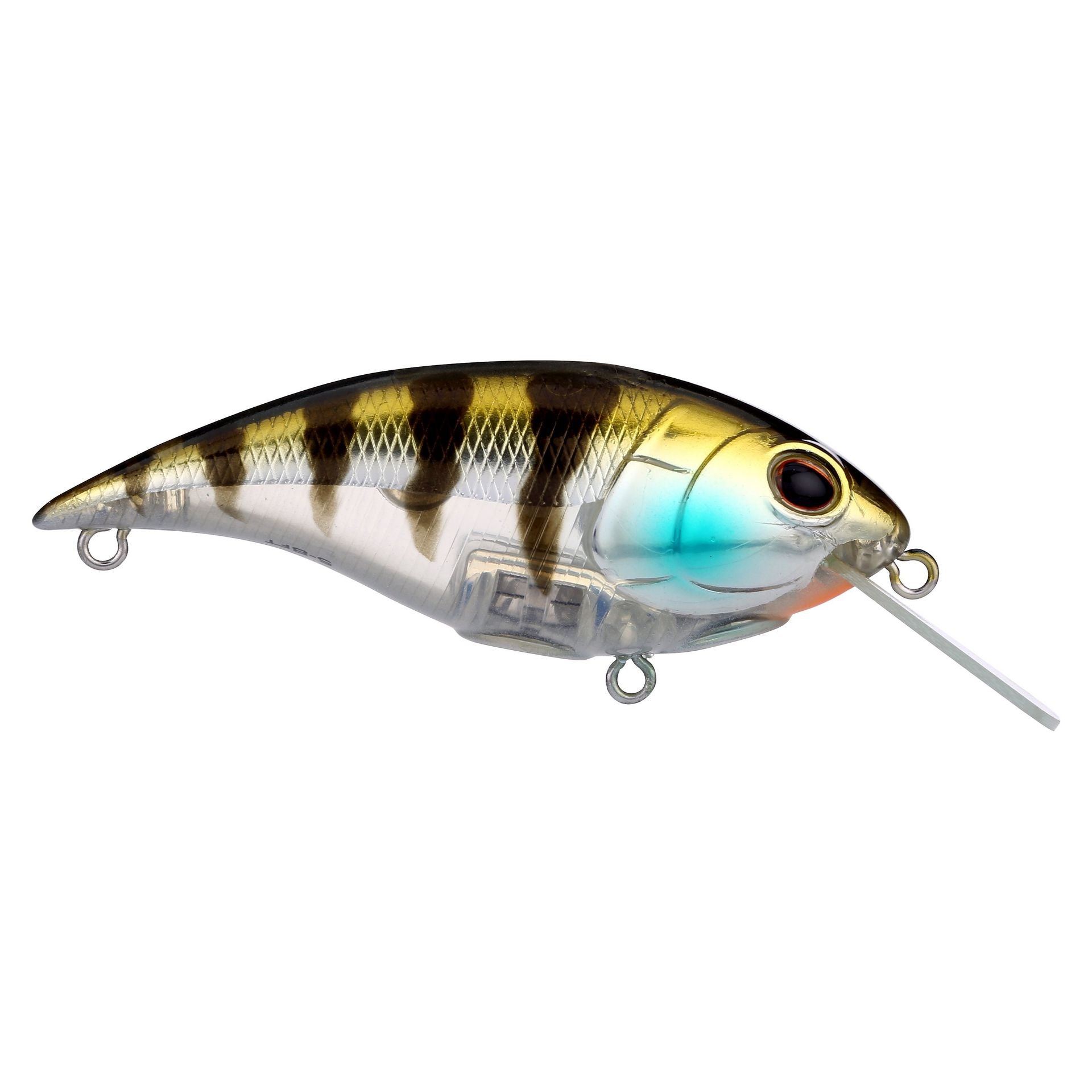 Shallow Money Badger