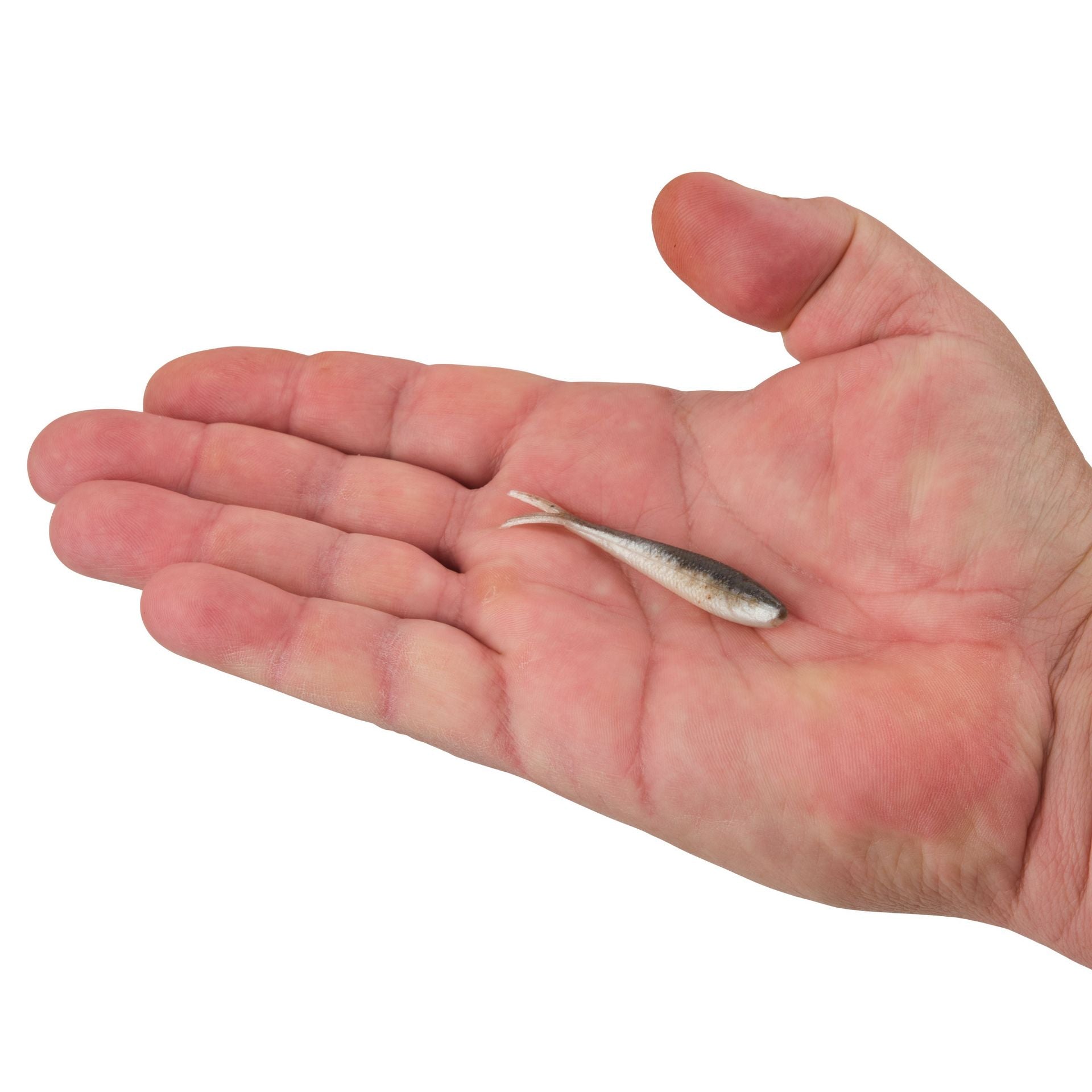 Gulp! Alive!® Minnow