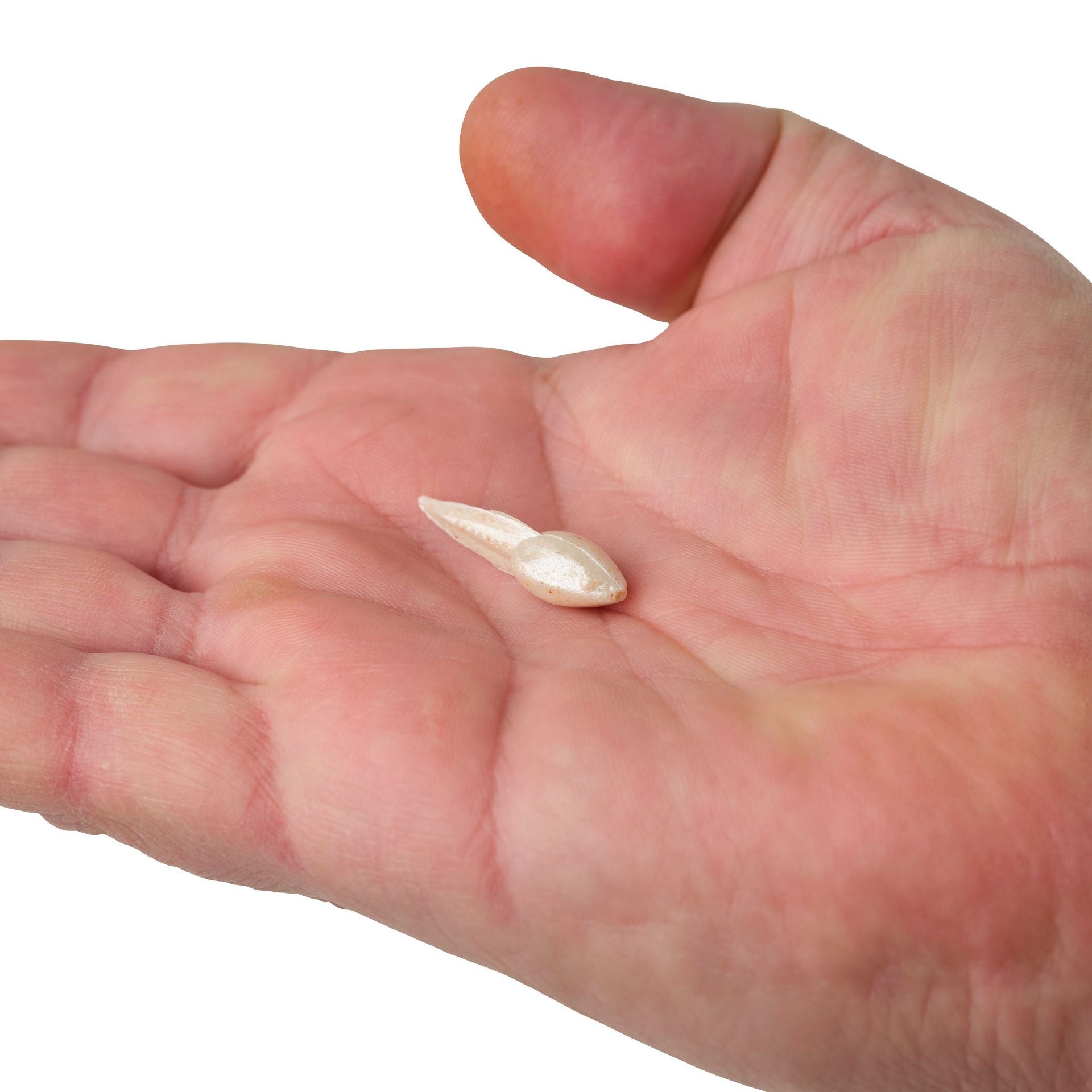 Gulp! Alive!® Tadpole