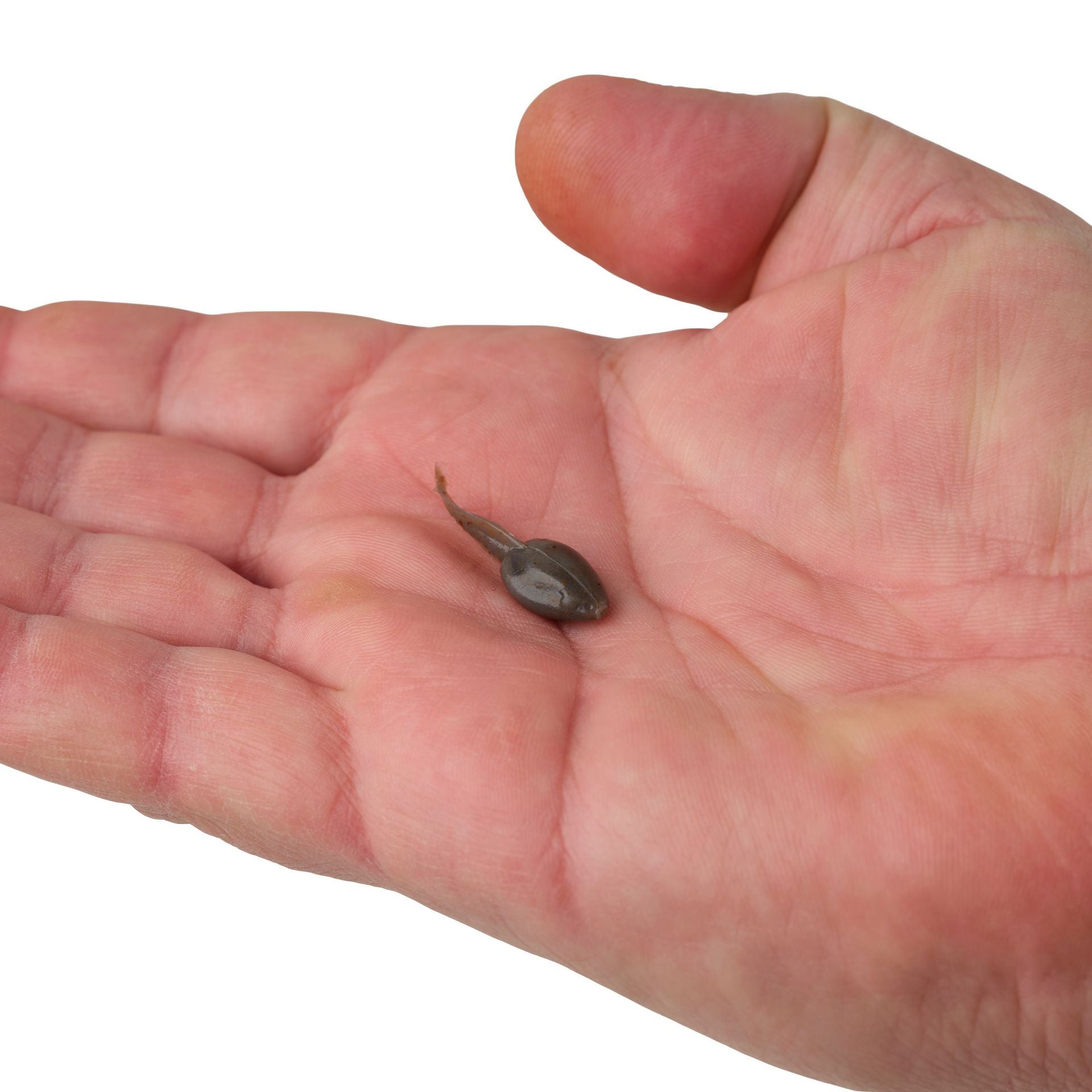 Gulp! Alive!® Tadpole