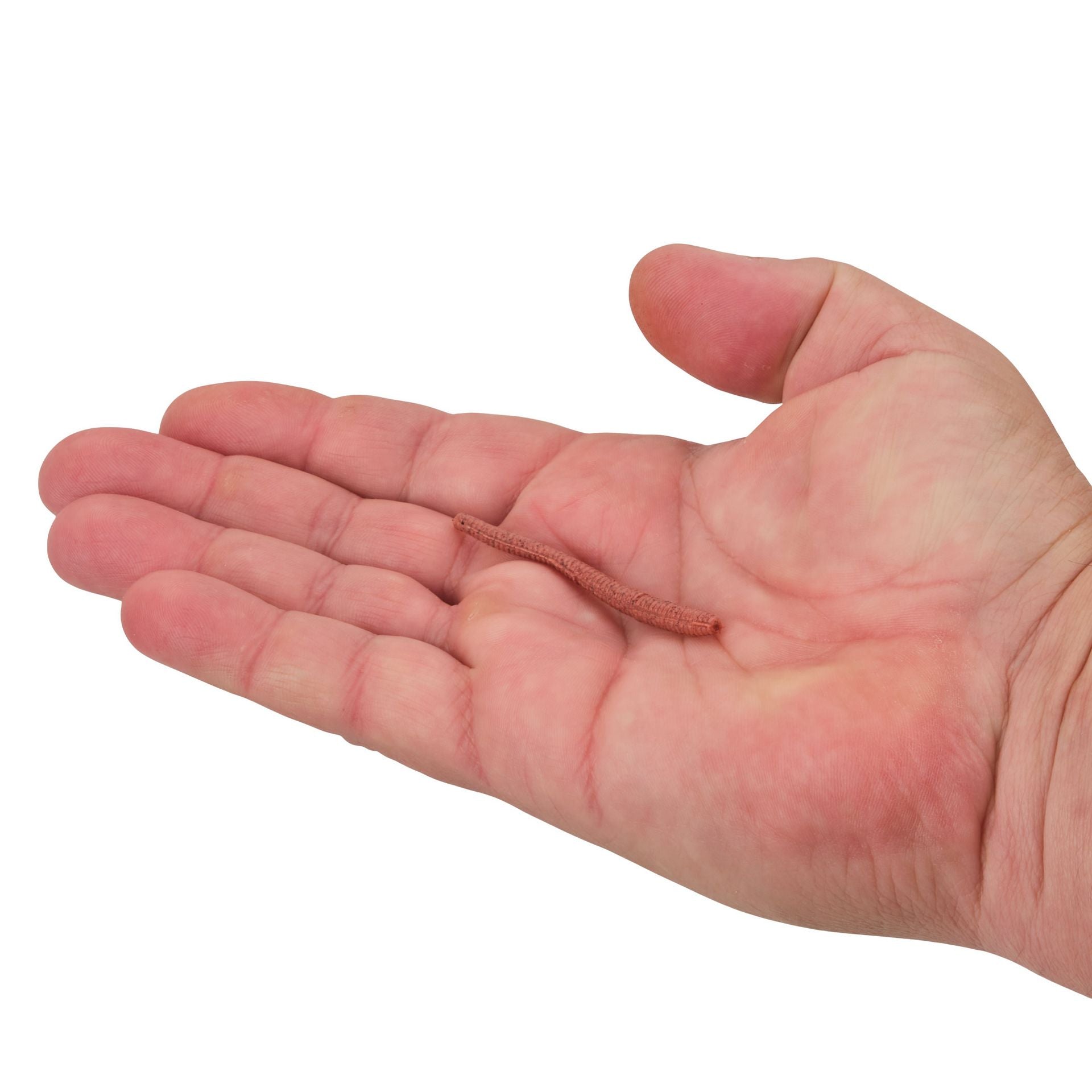 Gulp!® Floating Trout Worm