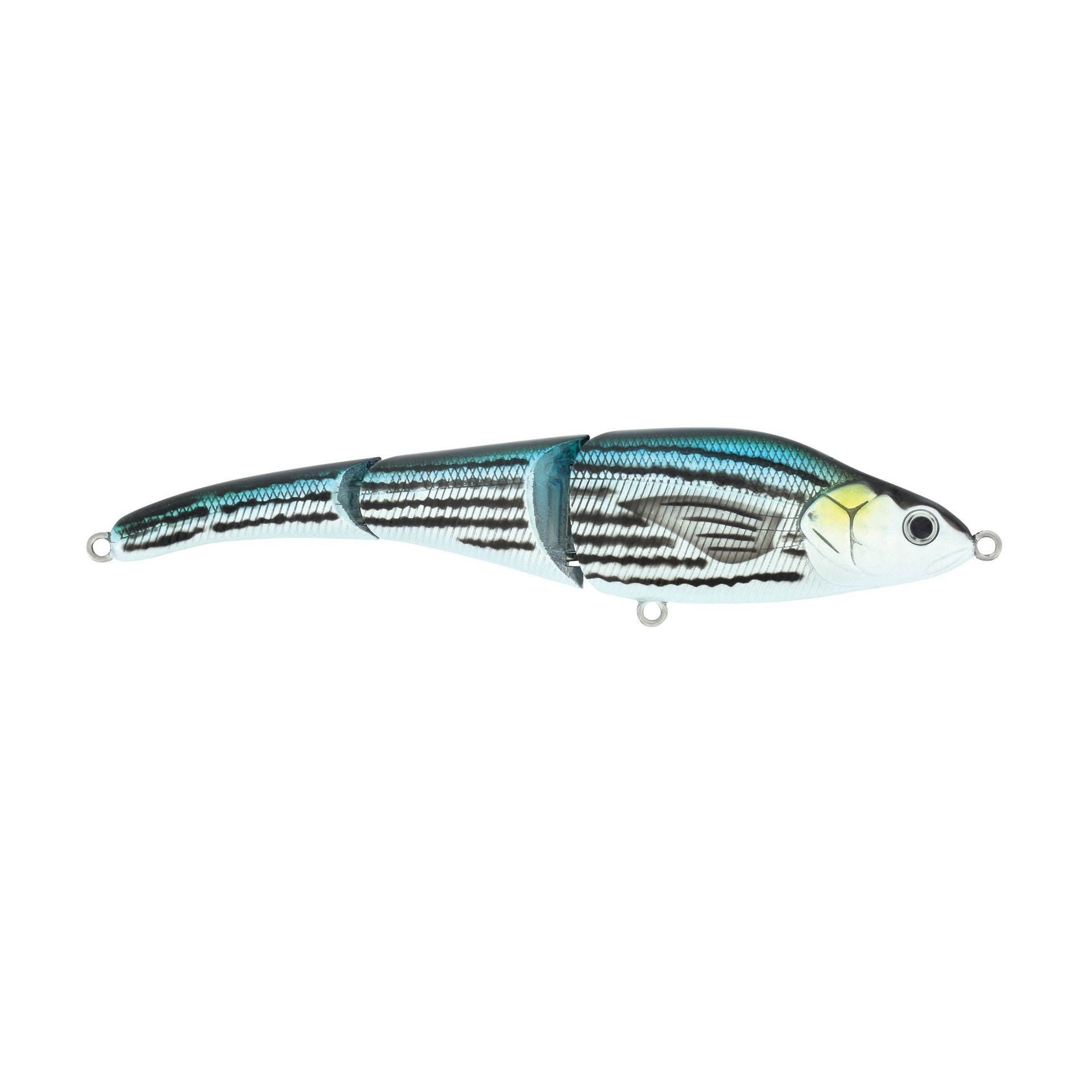 Magic Swimmer® Saltwater