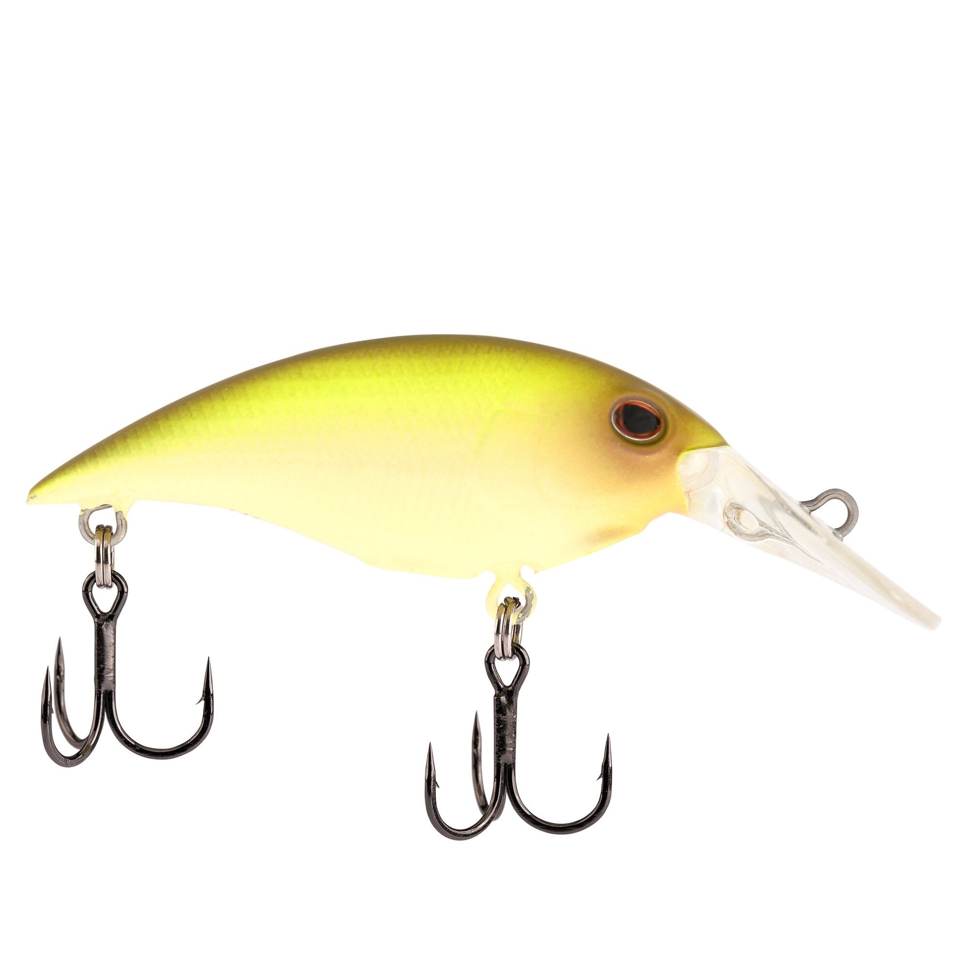 Berkley Money Badger, 4, Perch