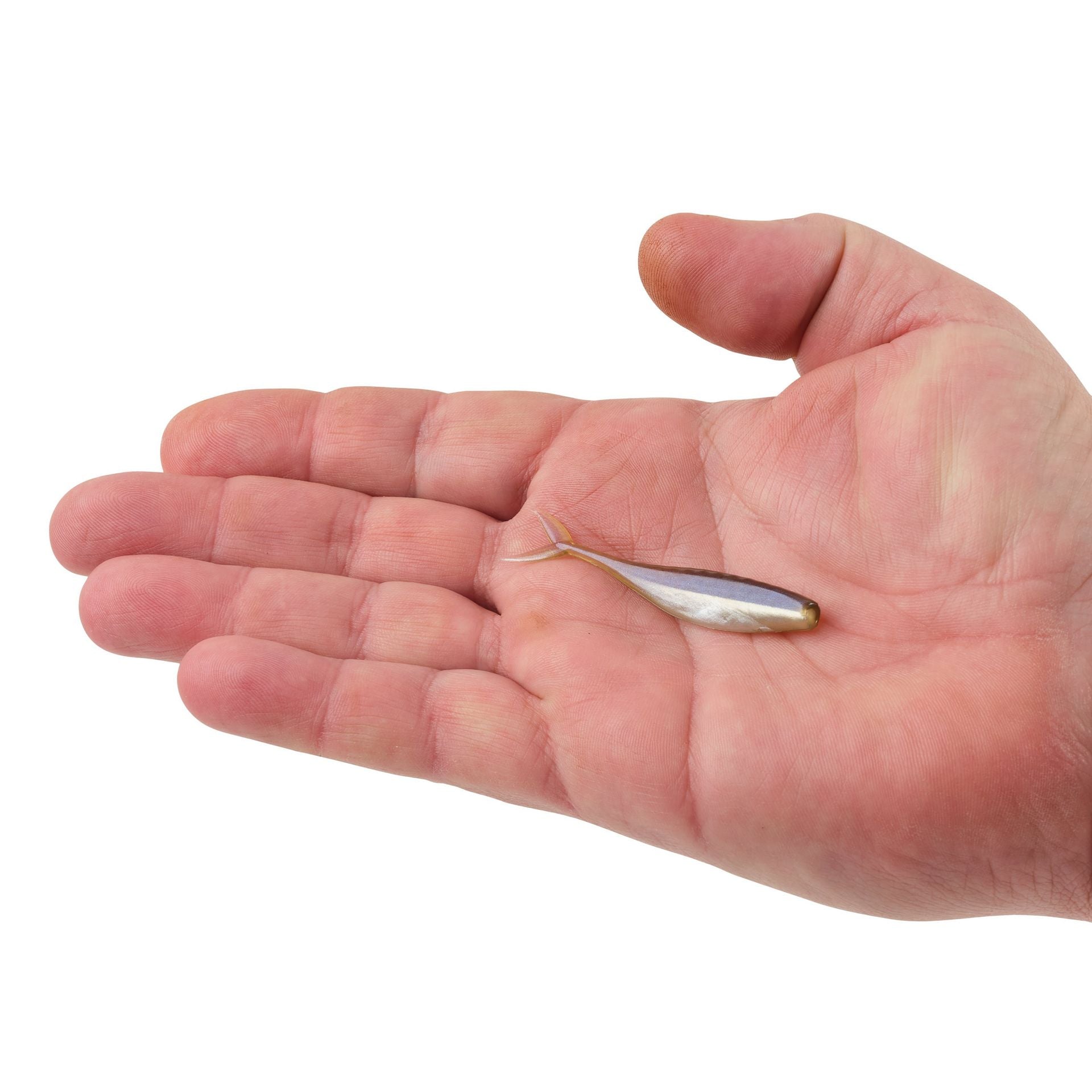 PowerBait® The Champ Minnow