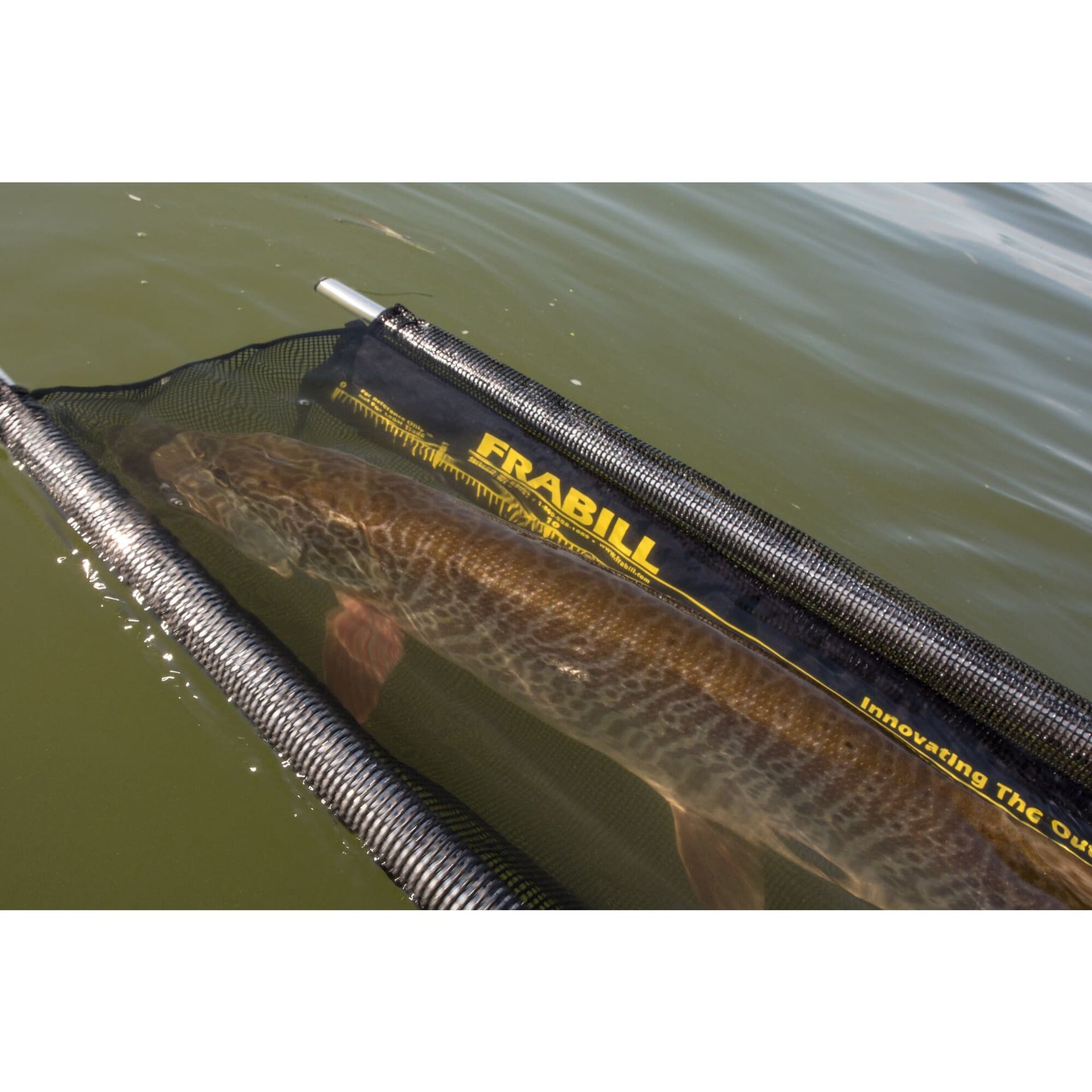 Frabill Musky Cradle