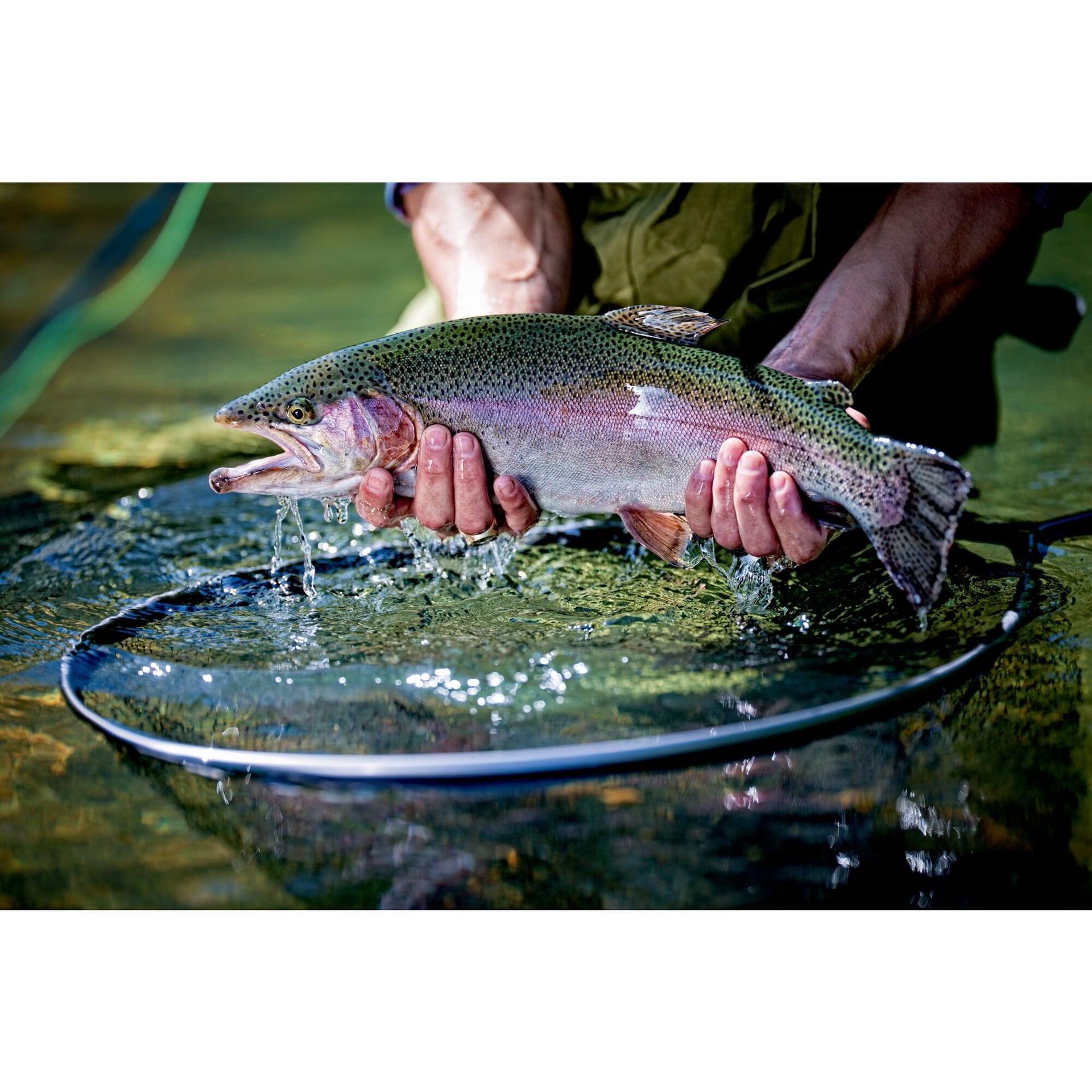 Frabill Teardrop Floating Trout Net