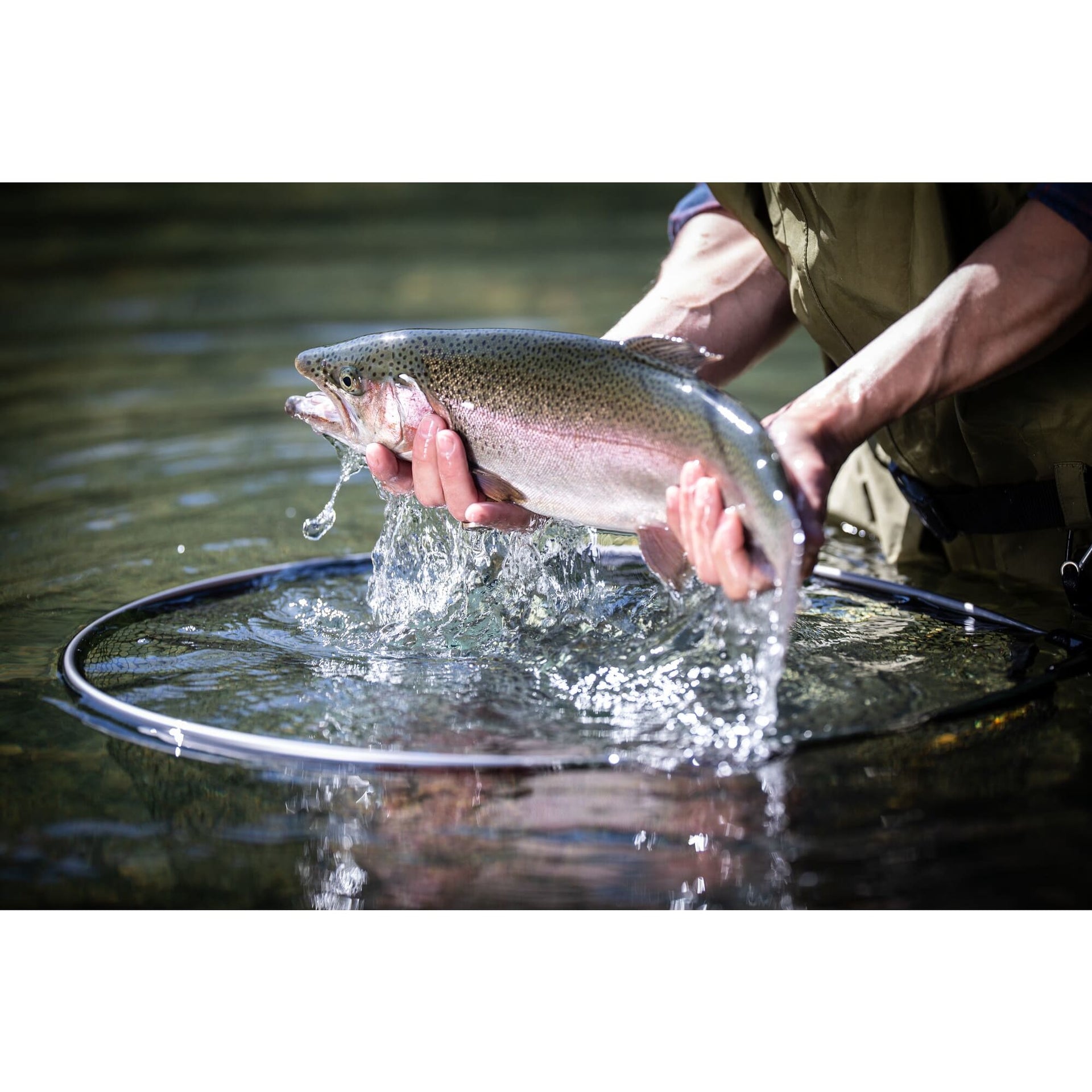 Frabill Teardrop Floating Trout Net