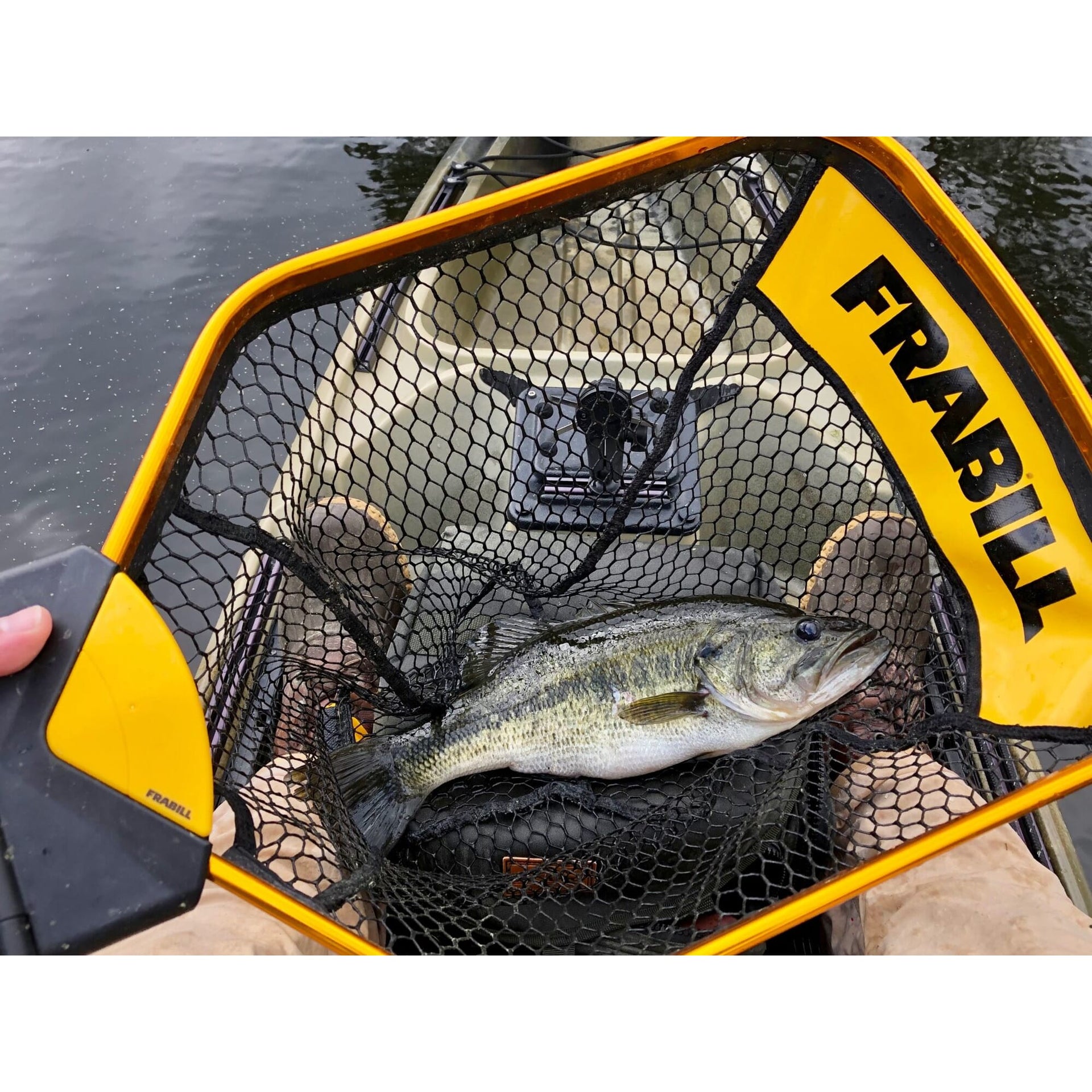 Frabill Bearclaw Night Trophy Haul™ Net