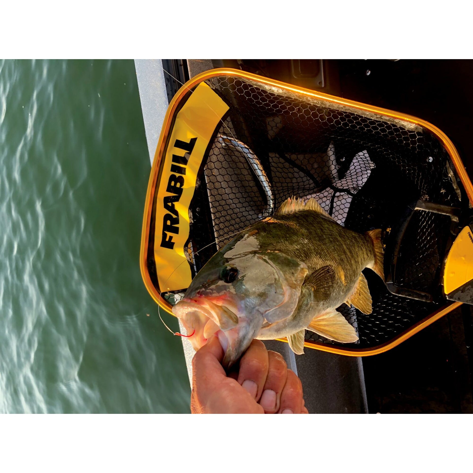 Frabill Power Extend Trophy Haul™ Net