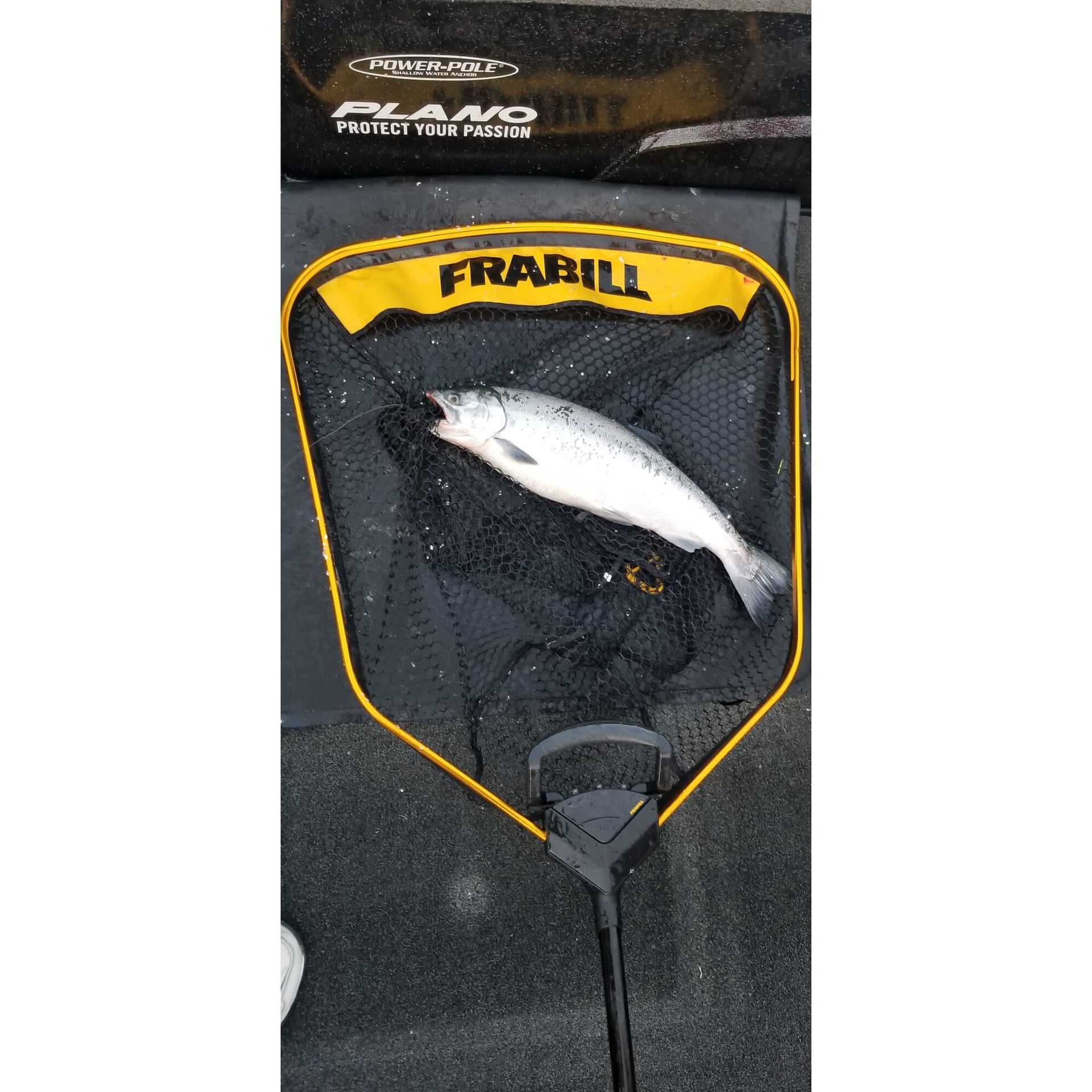 Frabill Power Extend Trophy Haul™ Net