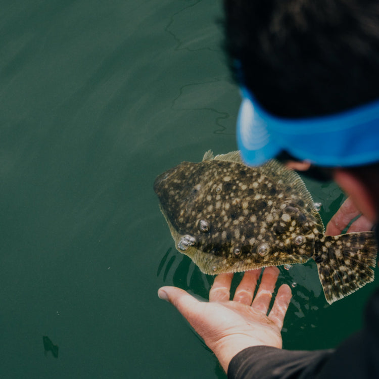 Fishing Gear Brands | Explore Our Brands