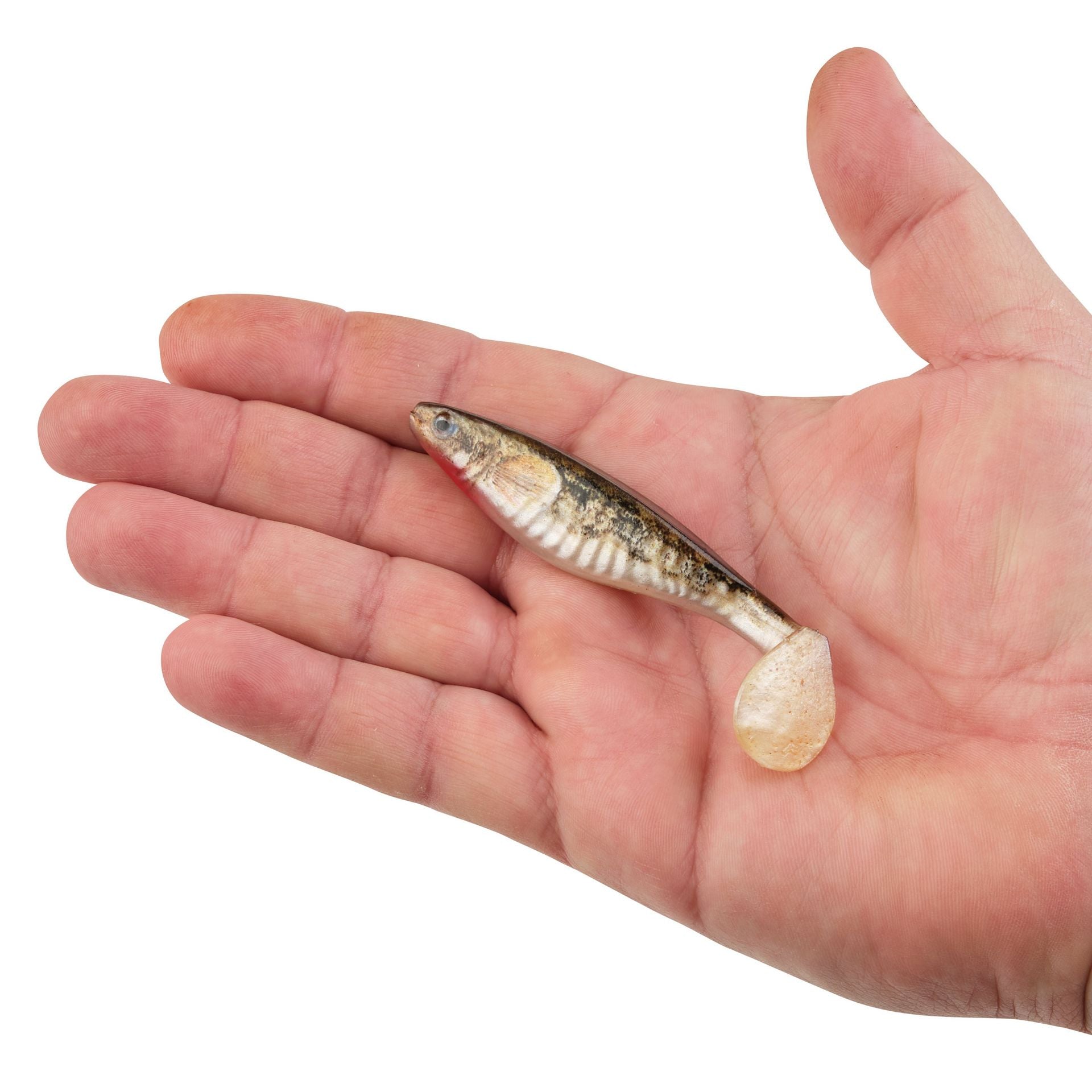 PowerBait® The Champ Swimmer