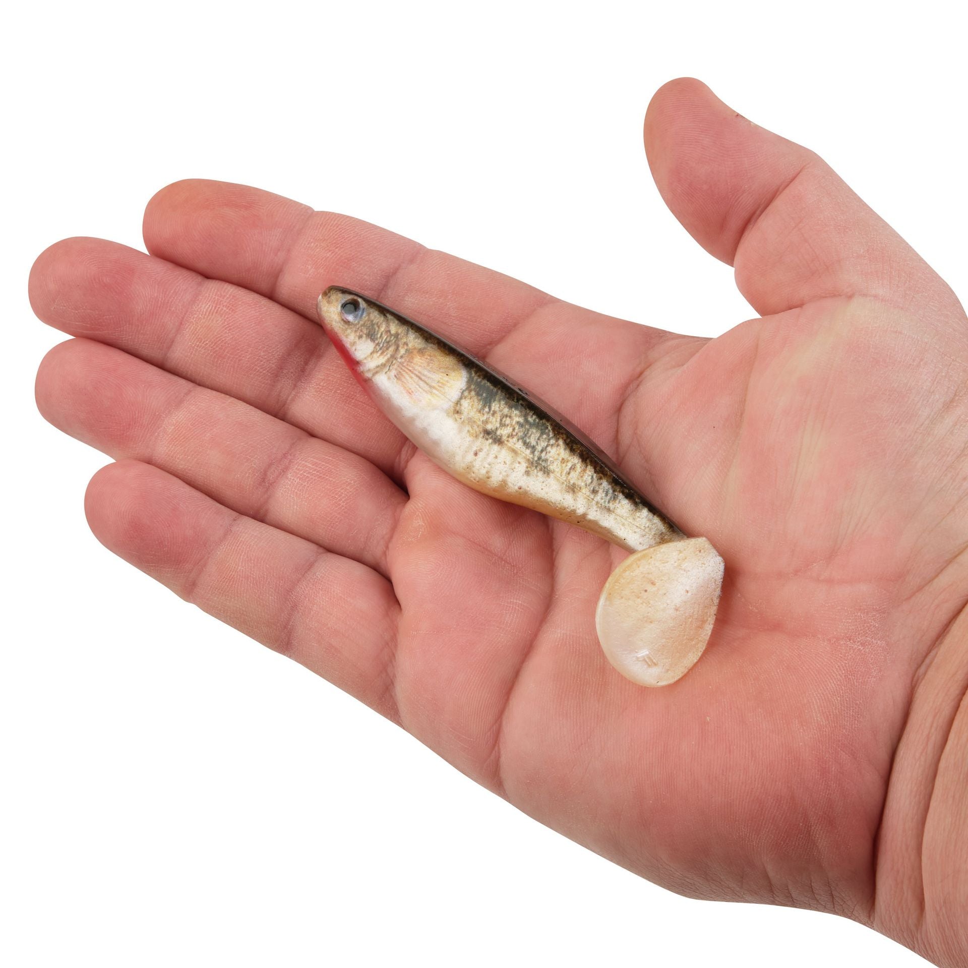 PowerBait® The Champ Swimmer