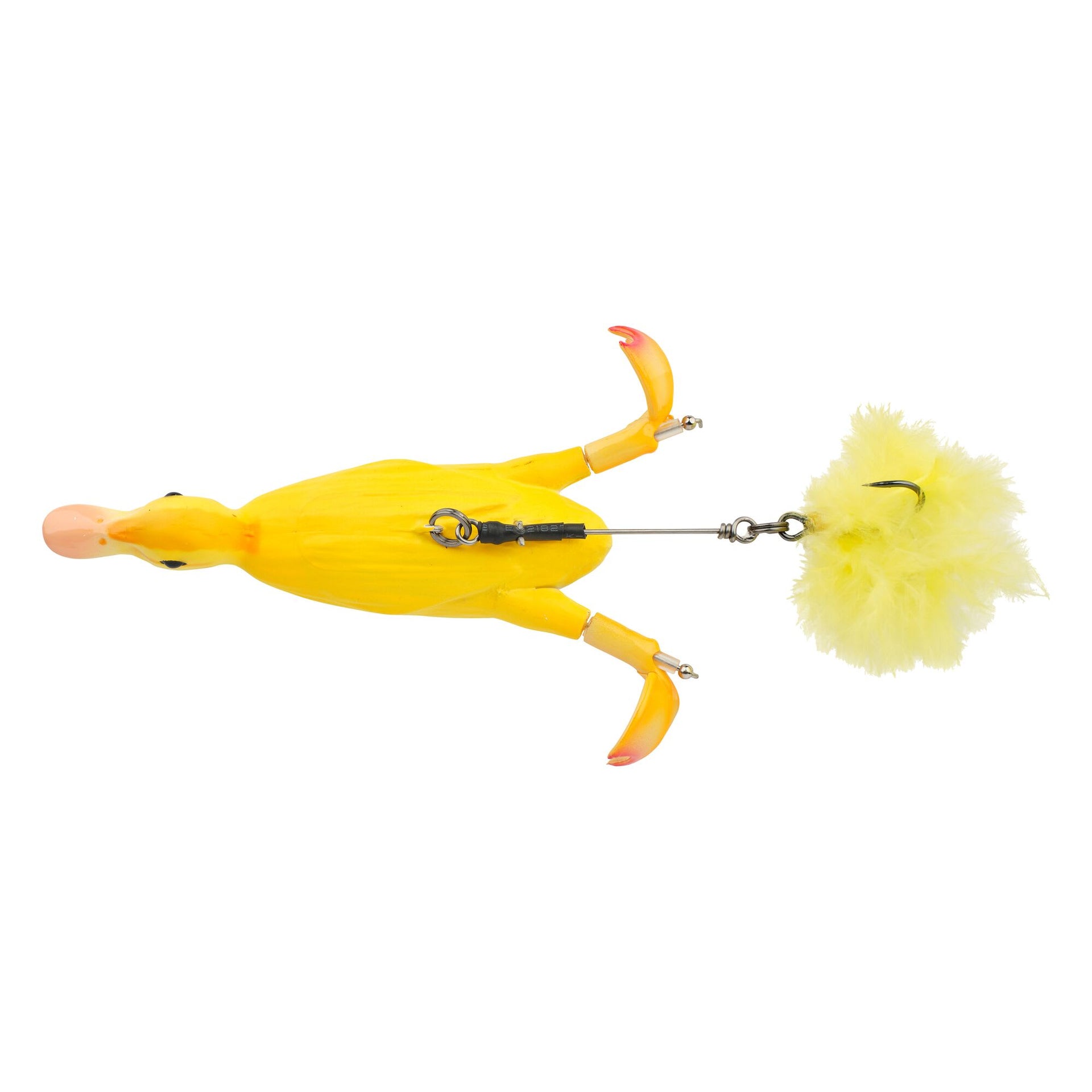 3D Duck 3D Duck