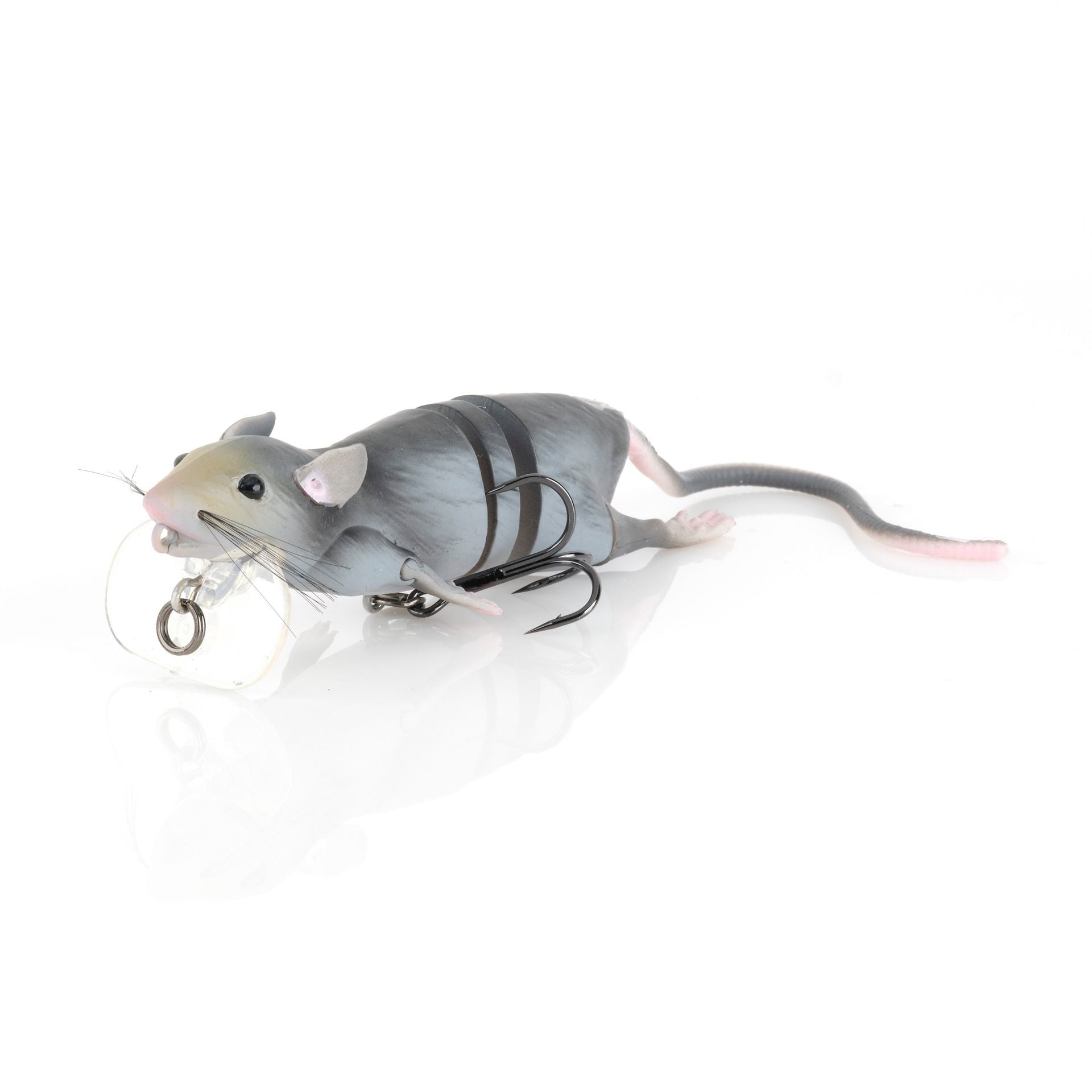 3D Rat