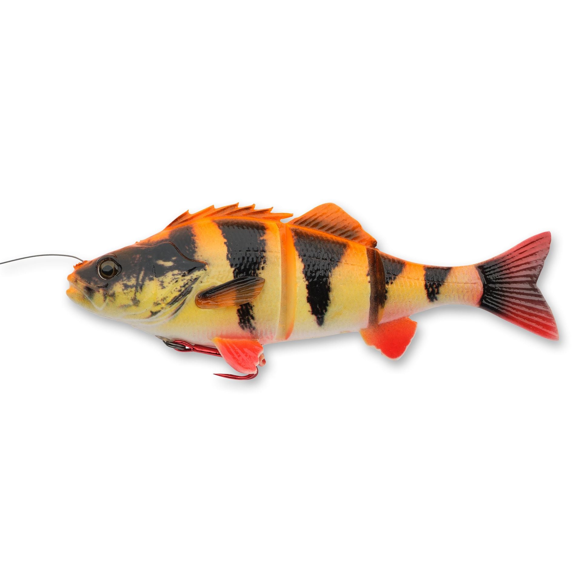 4D Yellow Perch