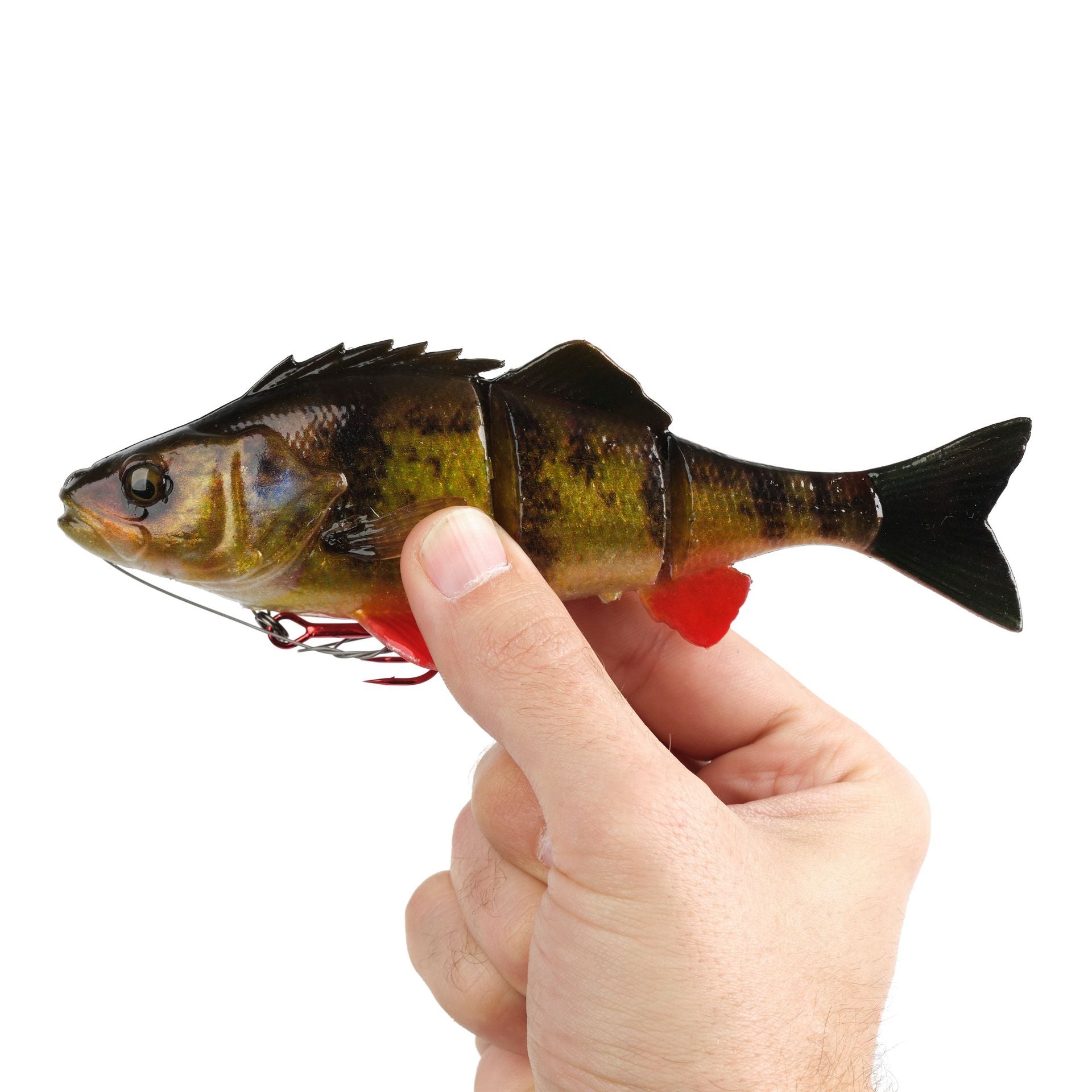 4D Yellow Perch