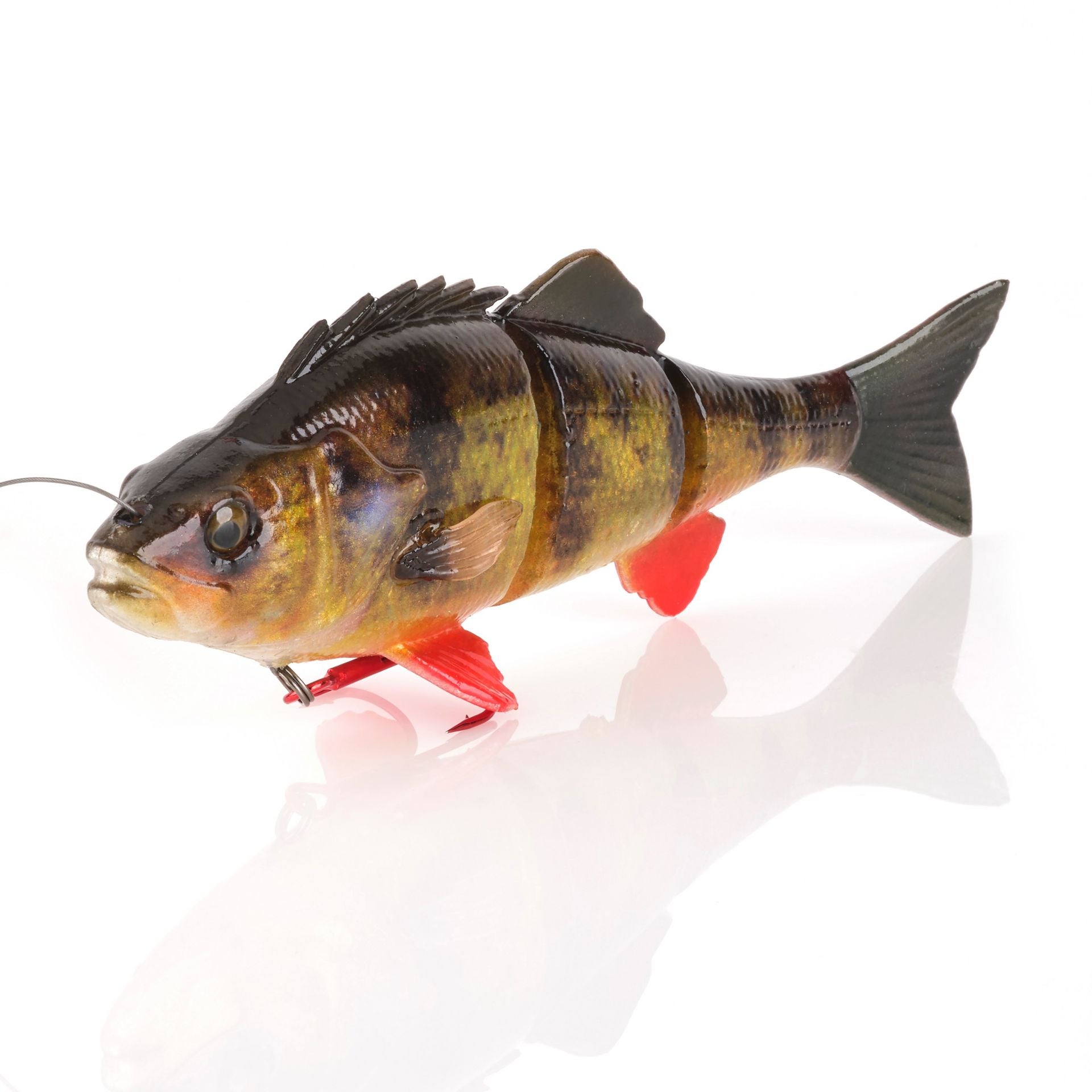 4D Yellow Perch