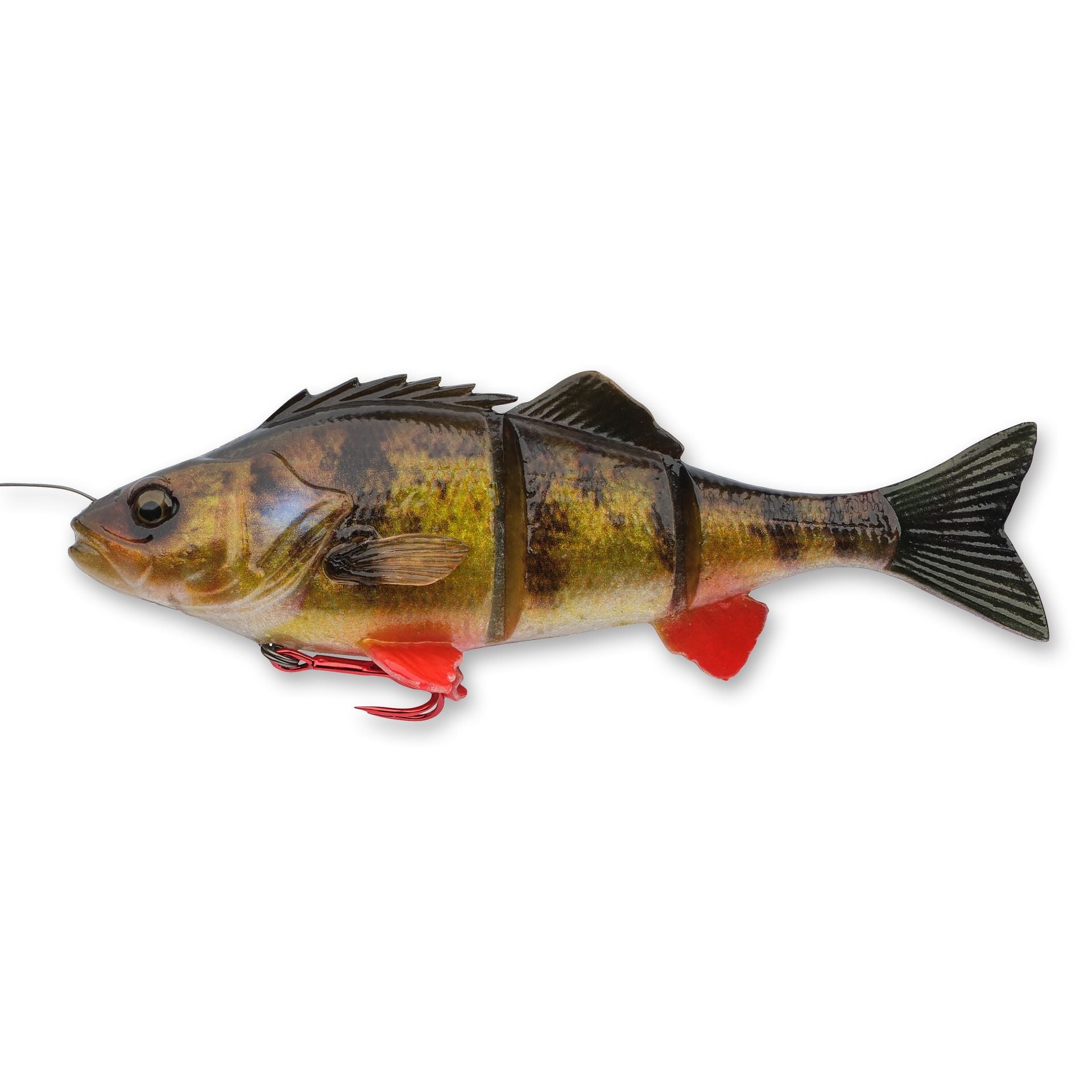 4D Yellow Perch