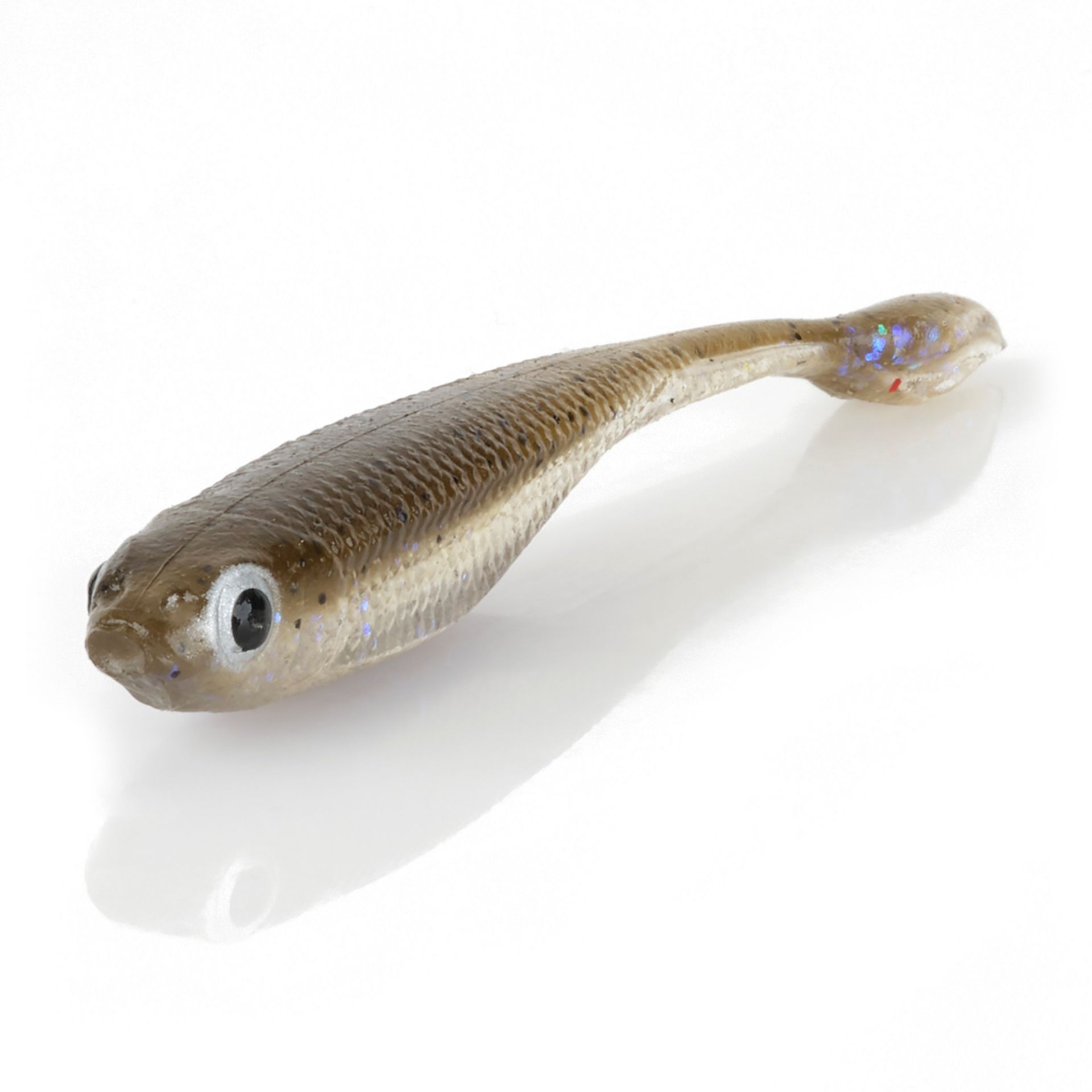 DS Minnow