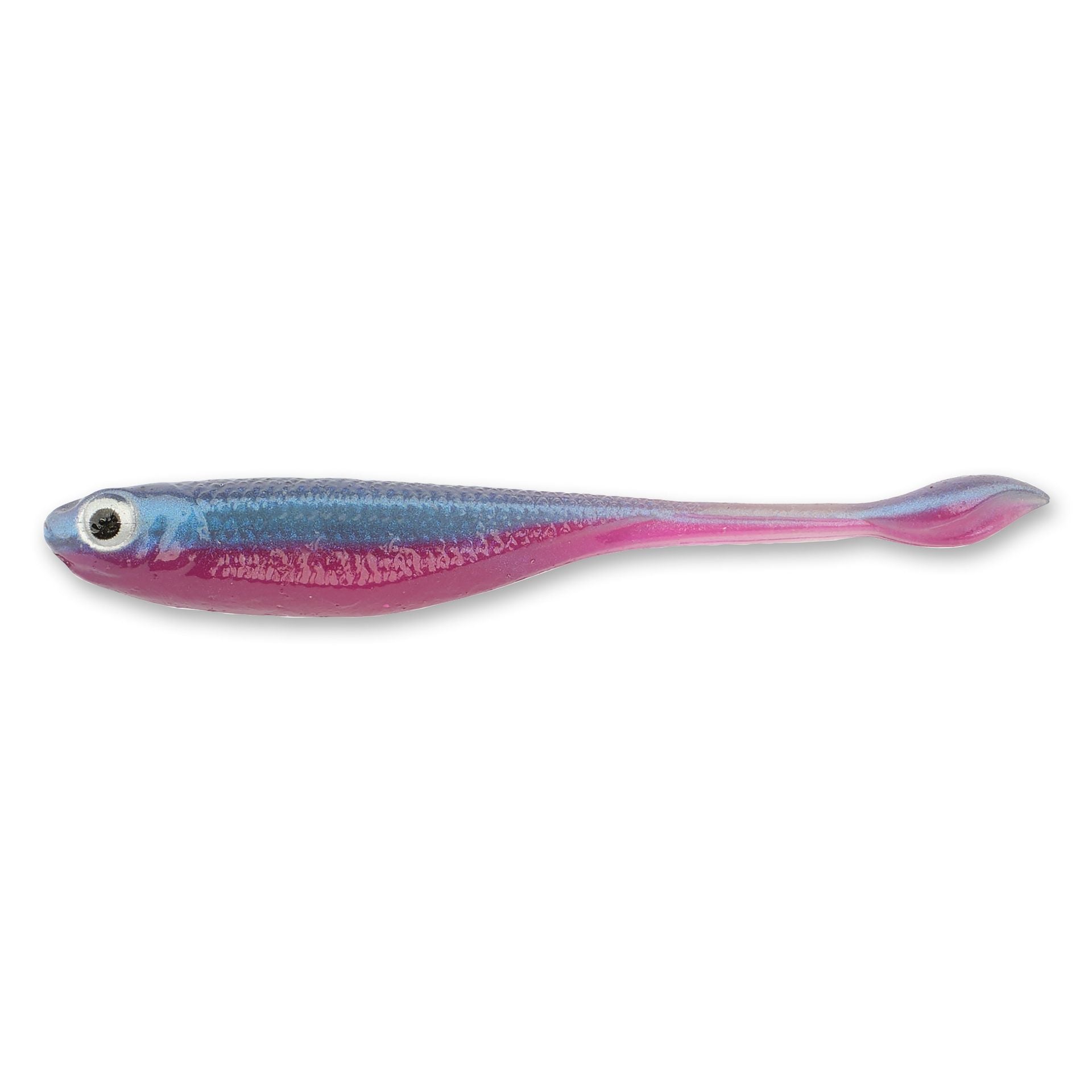 DS Minnow