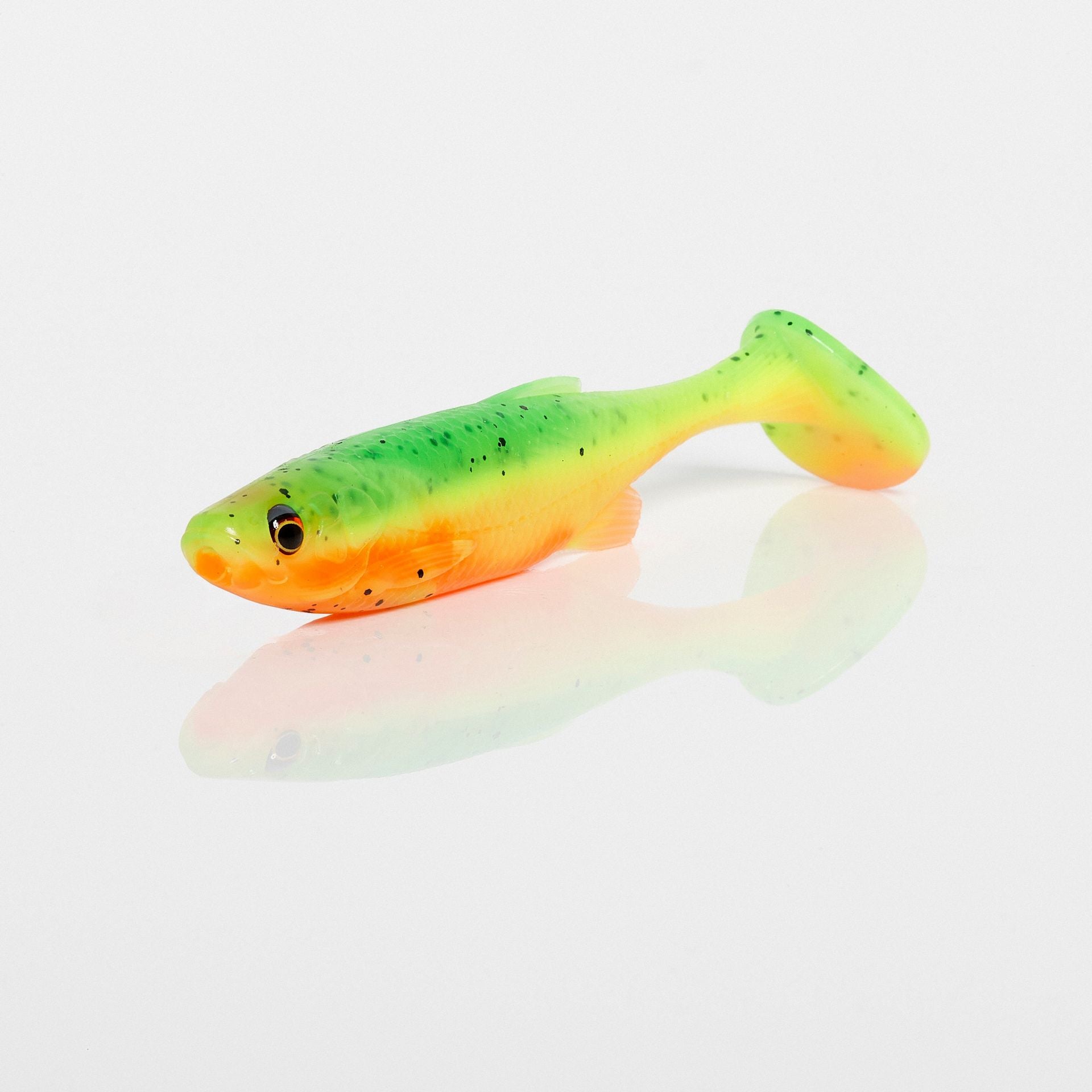 Fat T-Tail Minnow