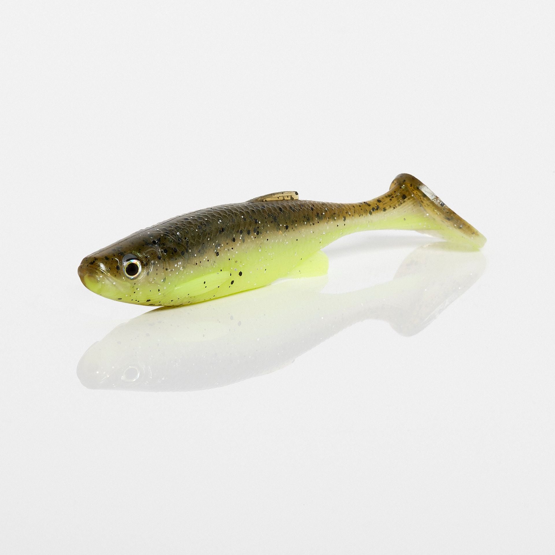 Fat T-Tail Minnow