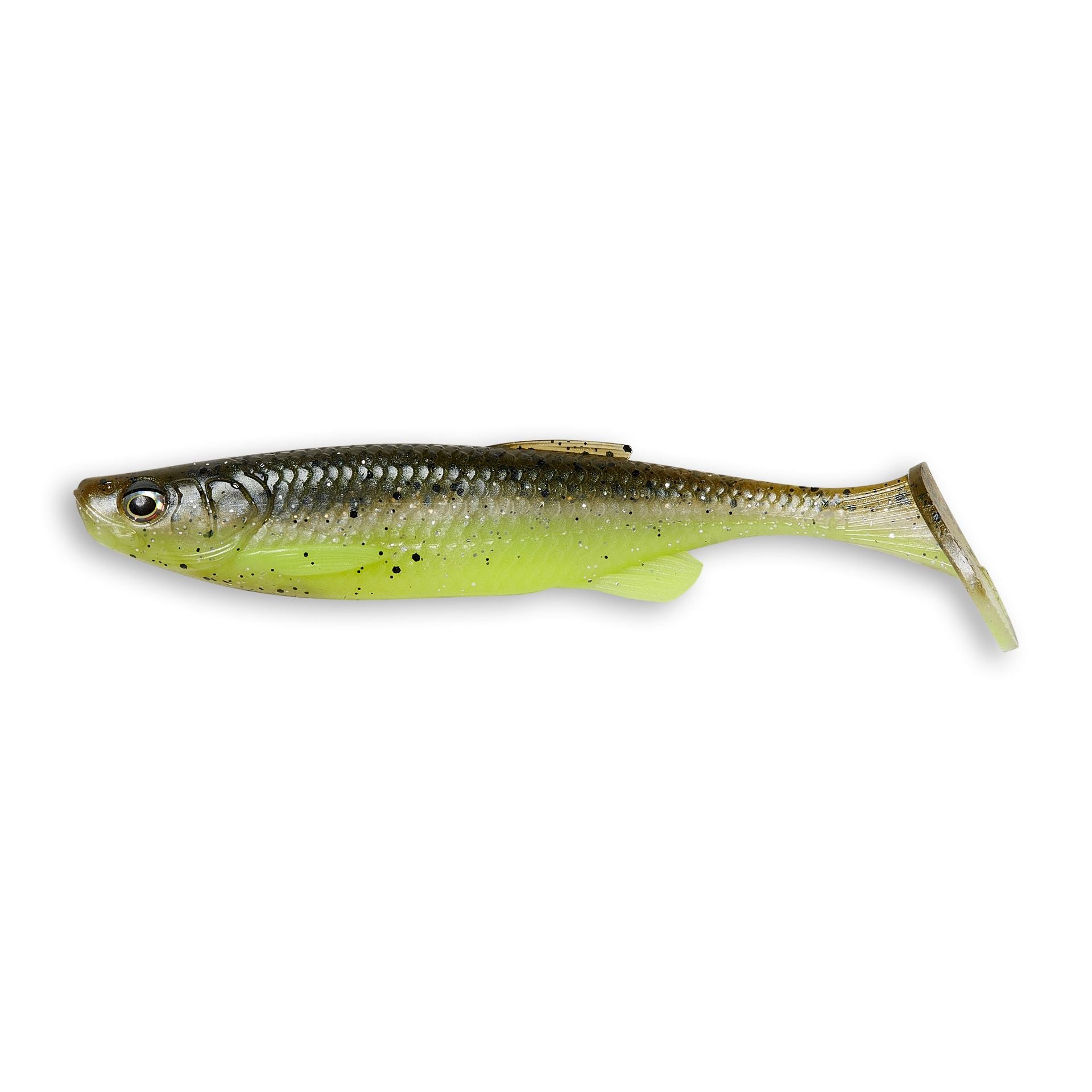 Fat T-Tail Minnow
