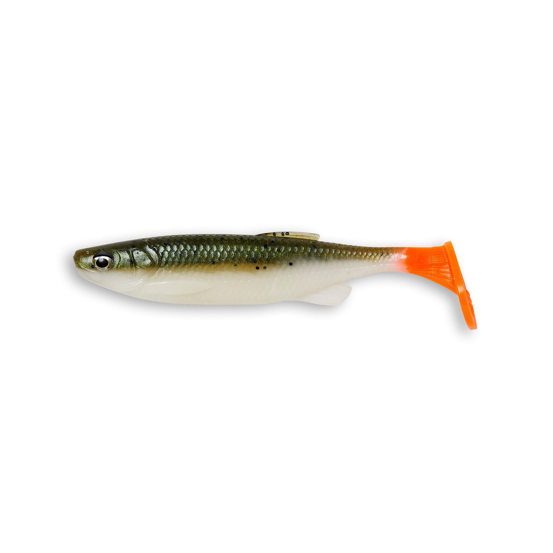 Fat T-Tail Minnow