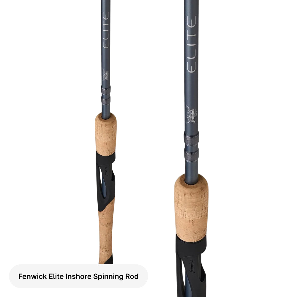 Fenwick Elite Inshore Spinning Rod on a white background